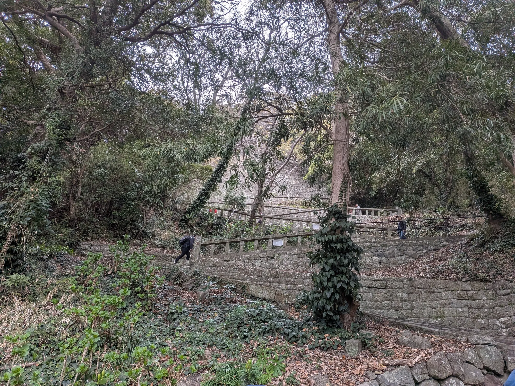 たむら鍼灸整骨院のイメージ