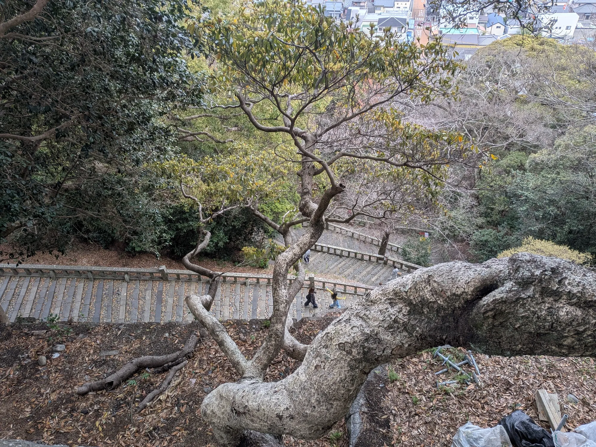 たむら鍼灸整骨院のイメージ