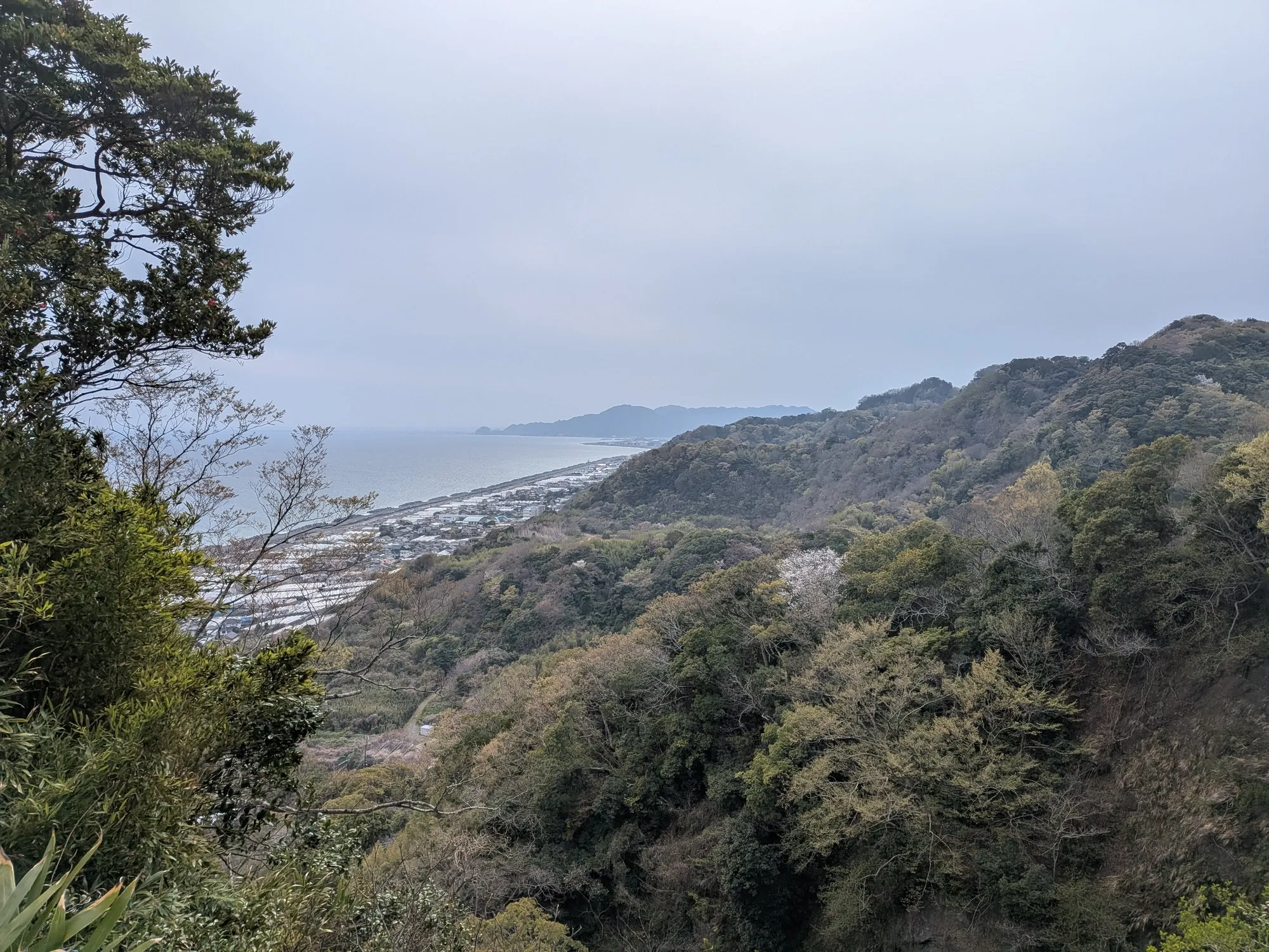 たむら鍼灸整骨院のイメージ