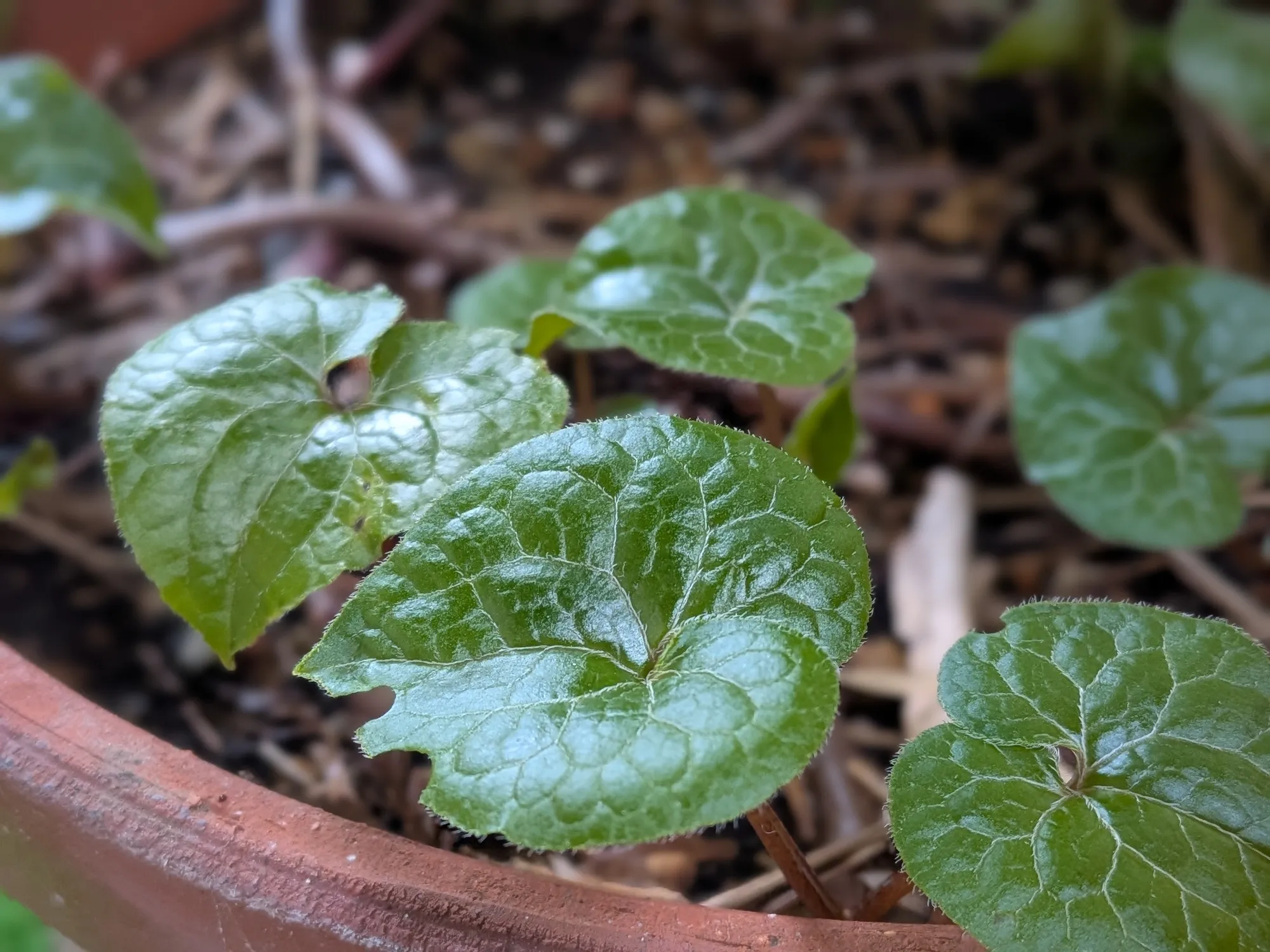 たむら鍼灸整骨院のイメージ