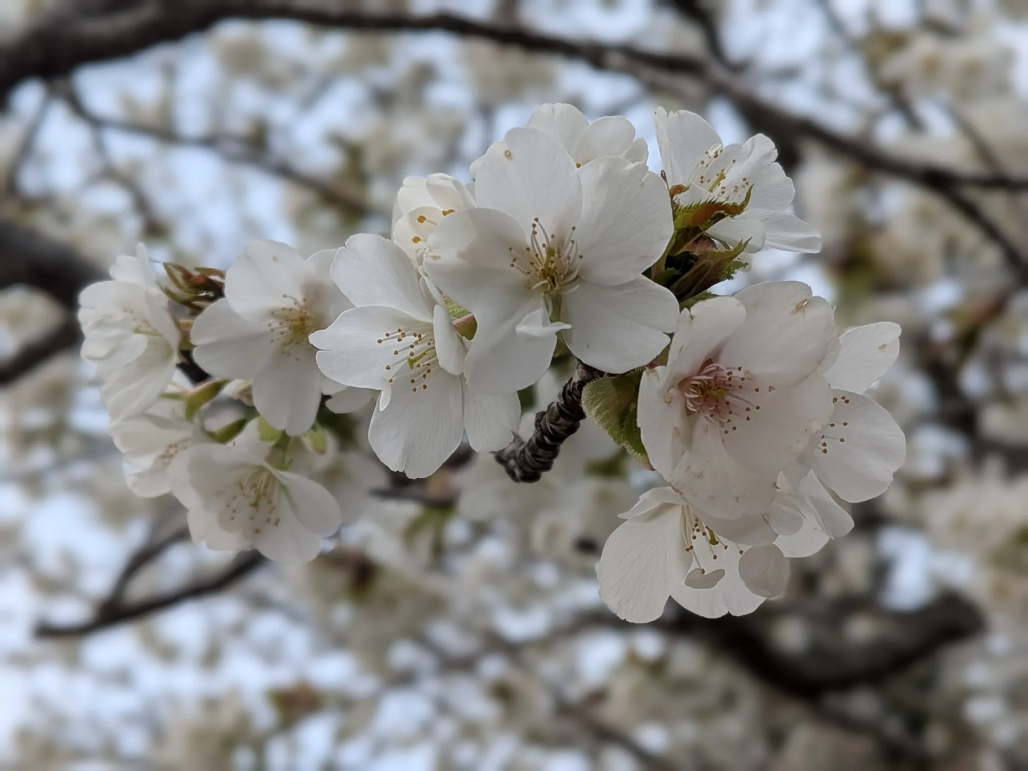 たむら鍼灸整骨院のイメージ