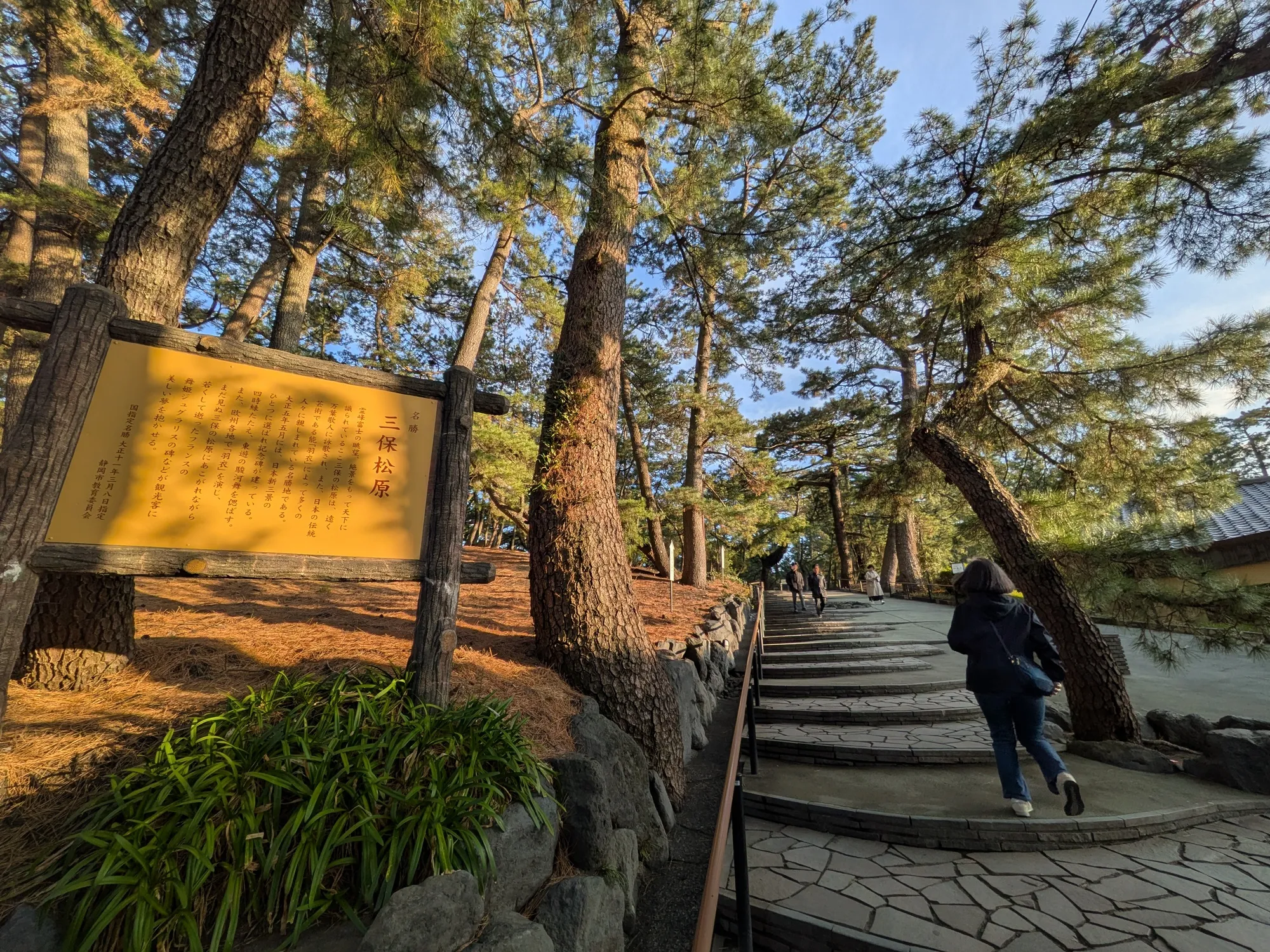 たむら鍼灸整骨院のイメージ