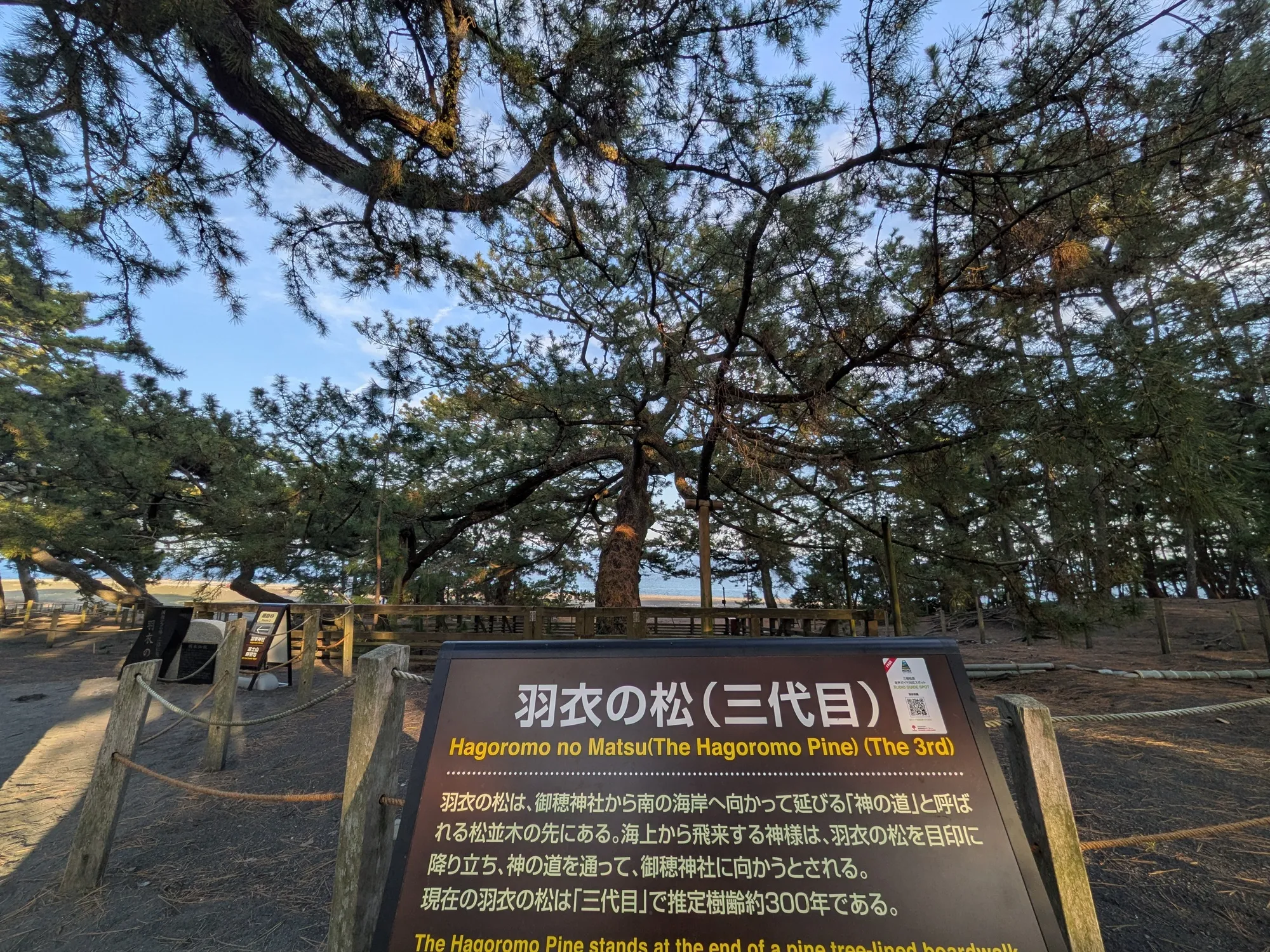 たむら鍼灸整骨院のイメージ