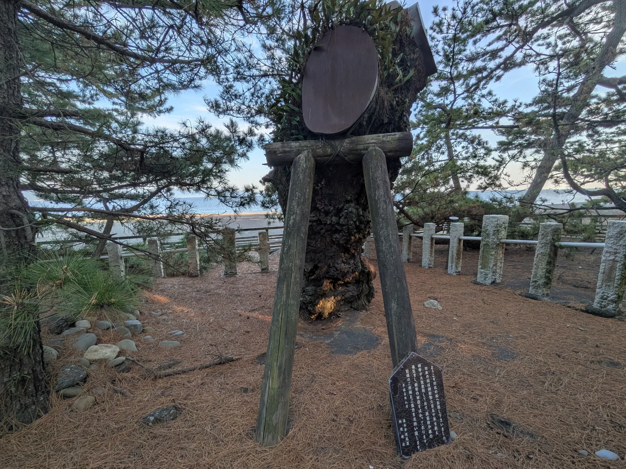 たむら鍼灸整骨院のイメージ