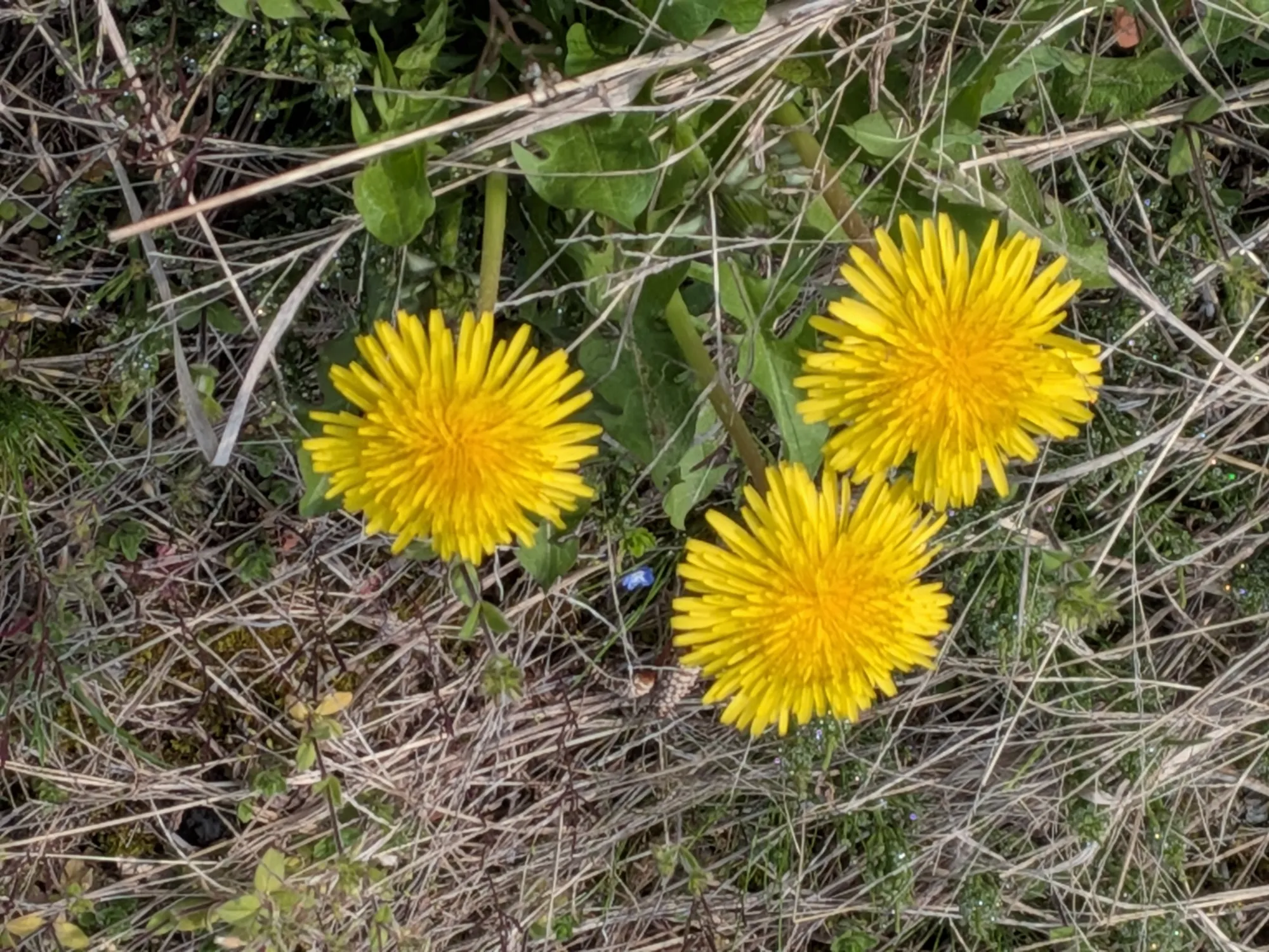 たむら鍼灸整骨院のイメージ