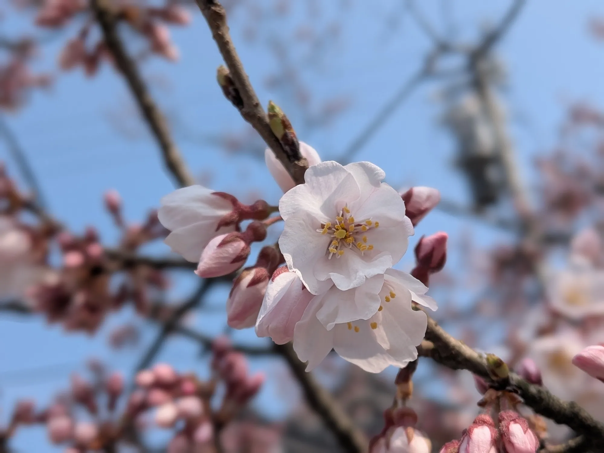 たむら鍼灸整骨院のイメージ