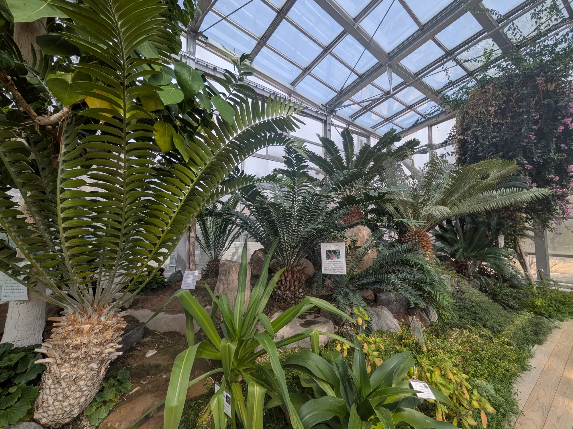 たむら鍼灸整骨院のイメージ