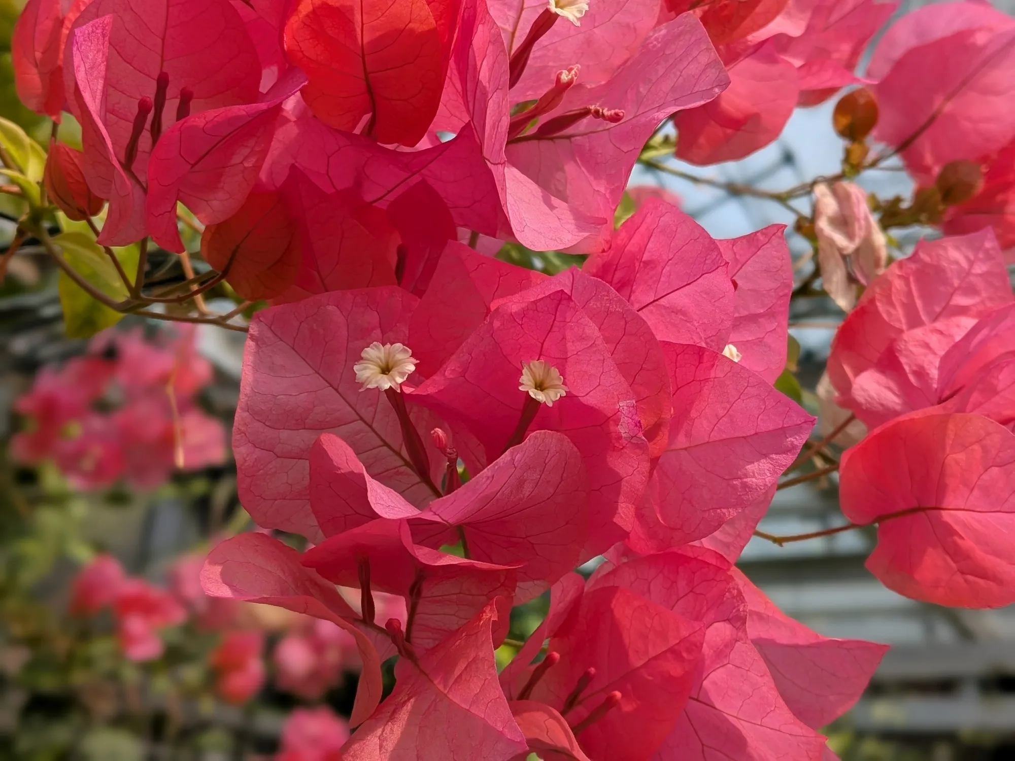 たむら鍼灸整骨院のイメージ