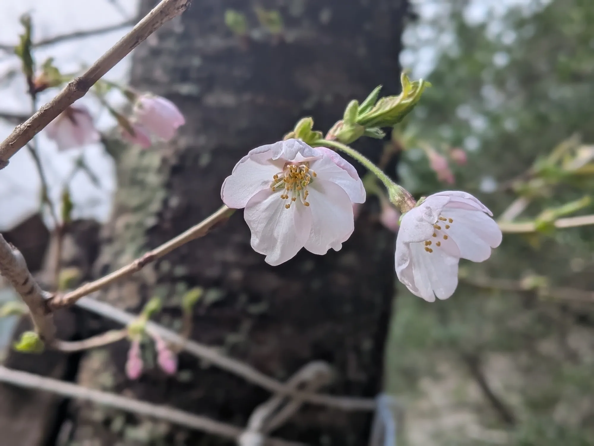 たむら鍼灸整骨院のイメージ