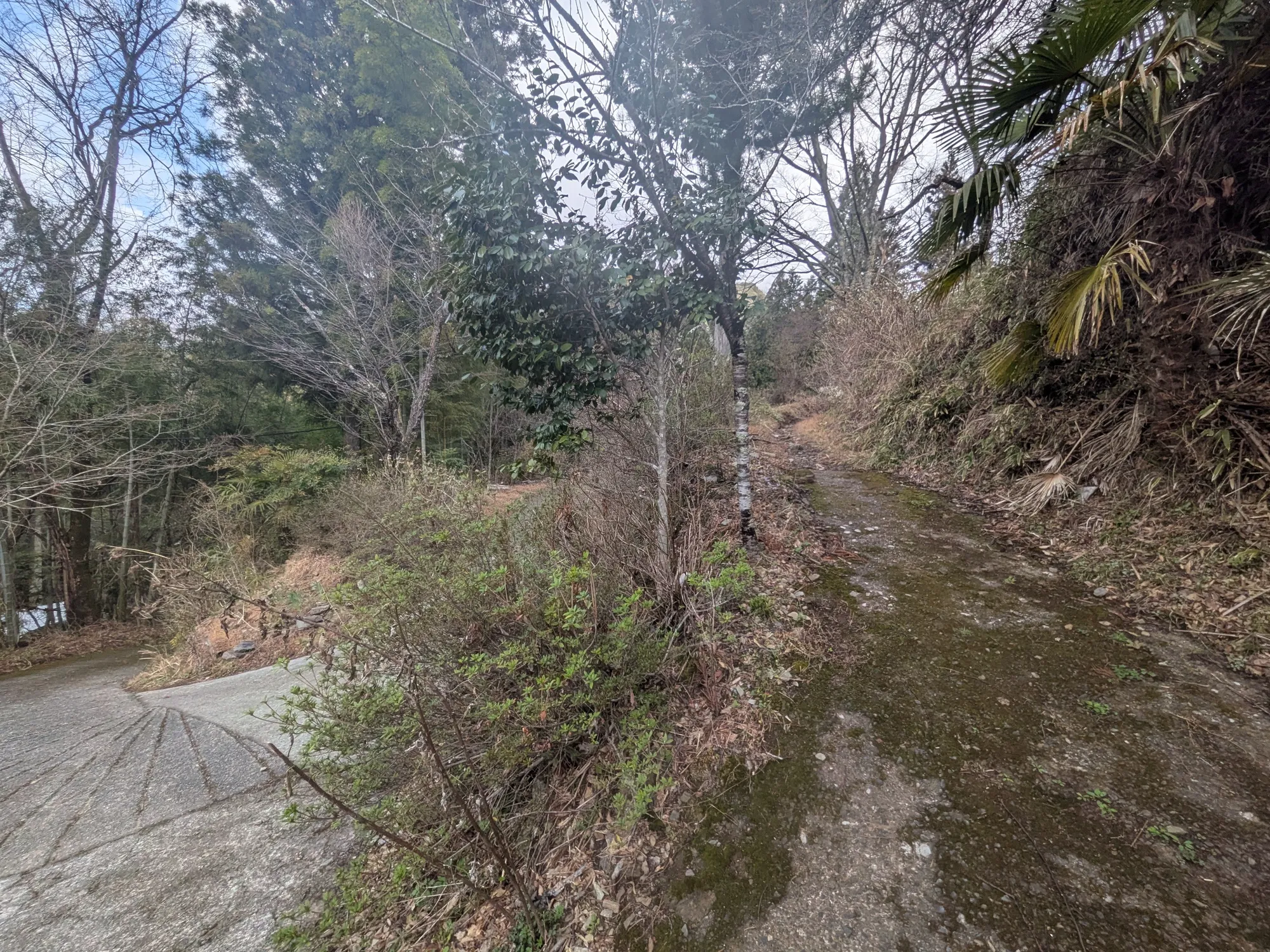 たむら鍼灸整骨院のイメージ