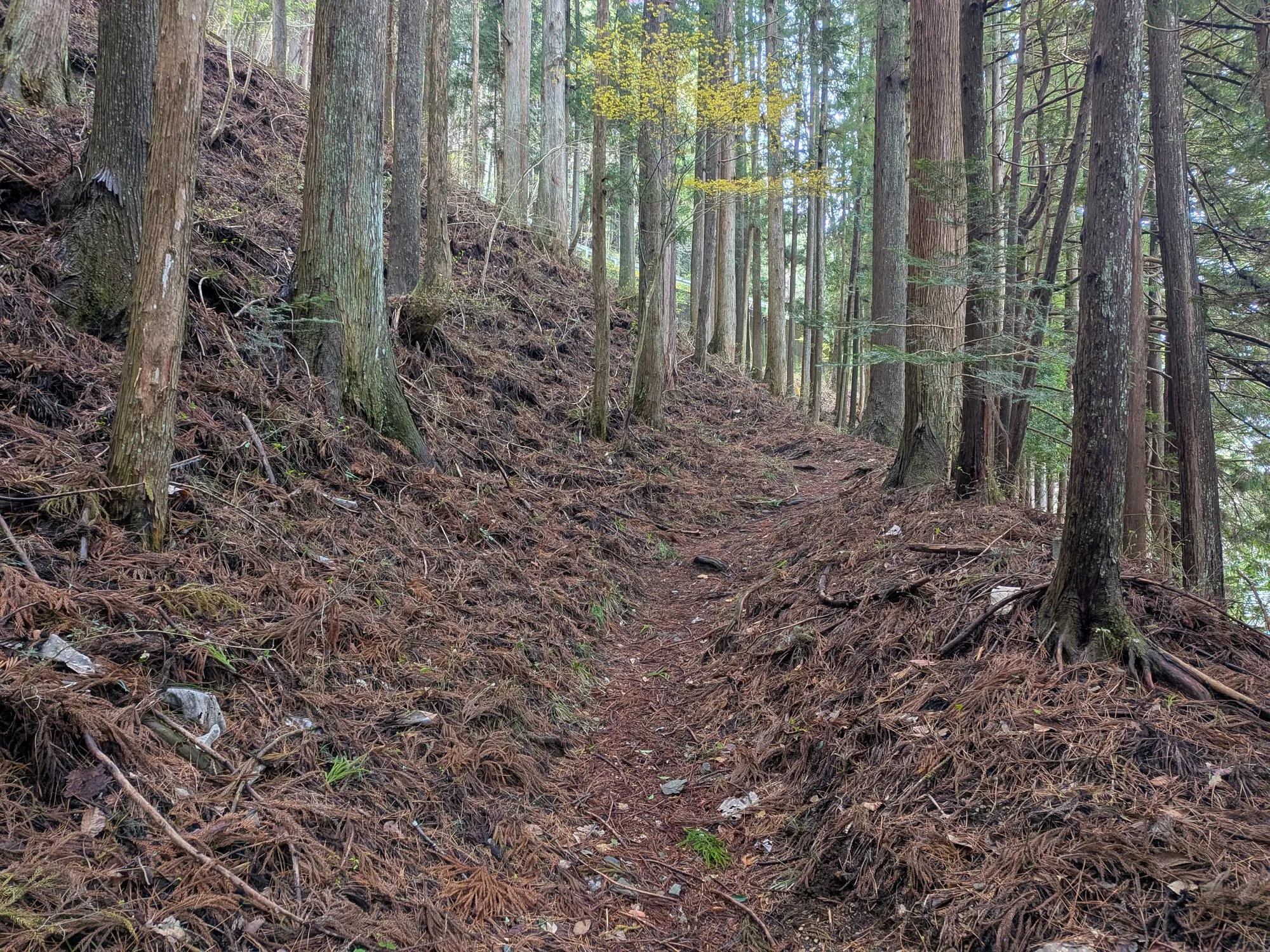 たむら鍼灸整骨院のイメージ