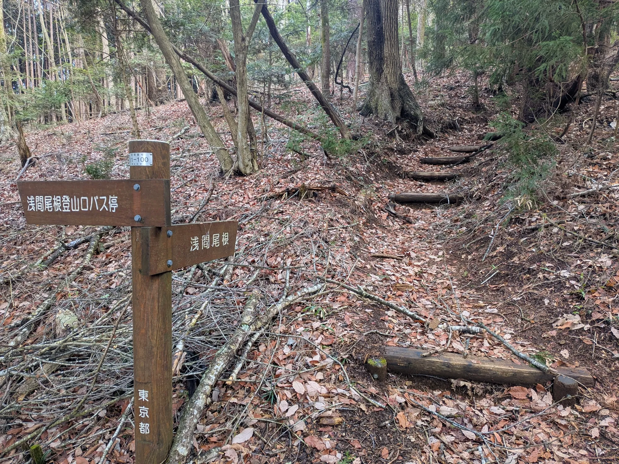 たむら鍼灸整骨院のイメージ