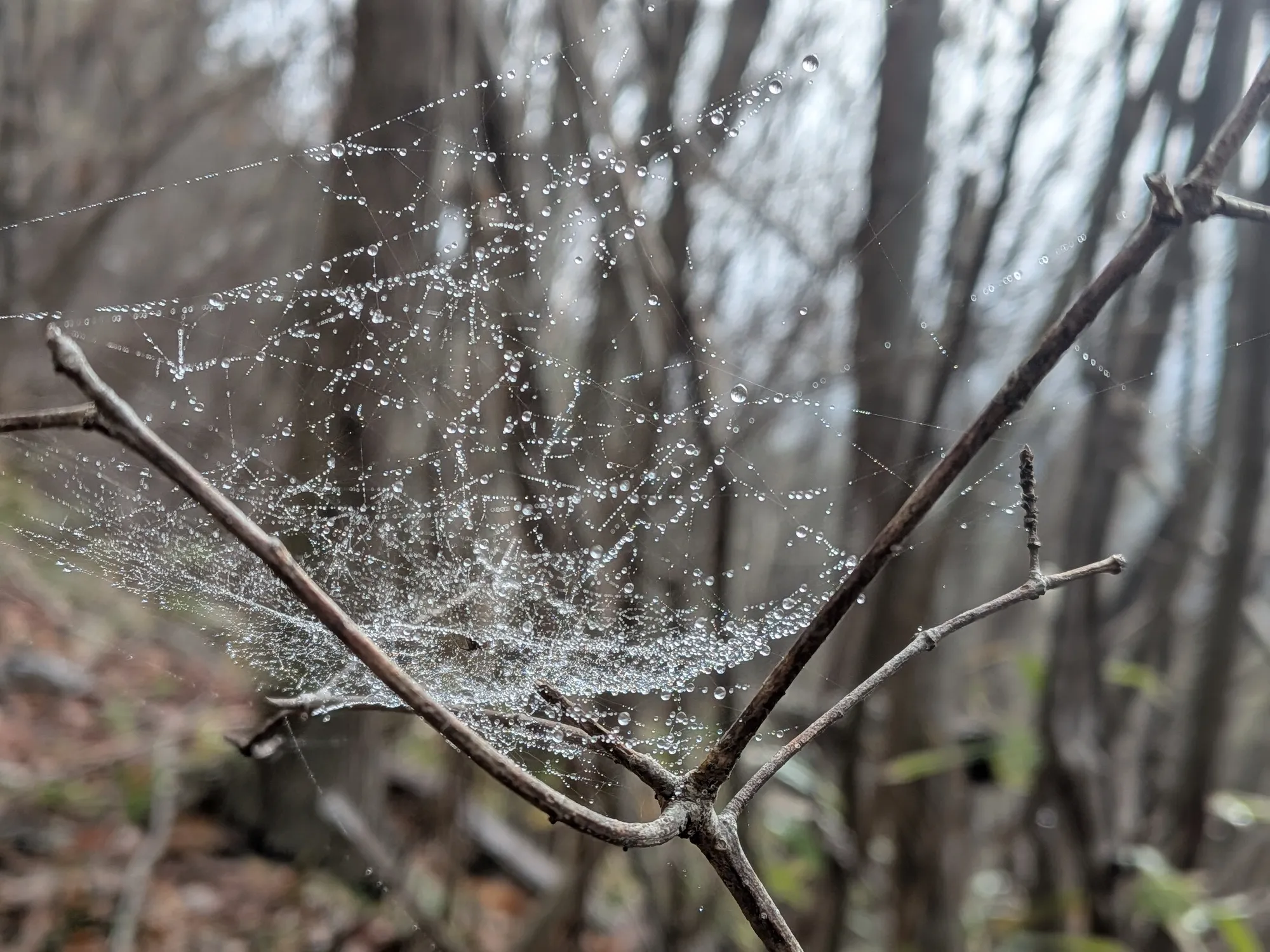 たむら鍼灸整骨院のイメージ