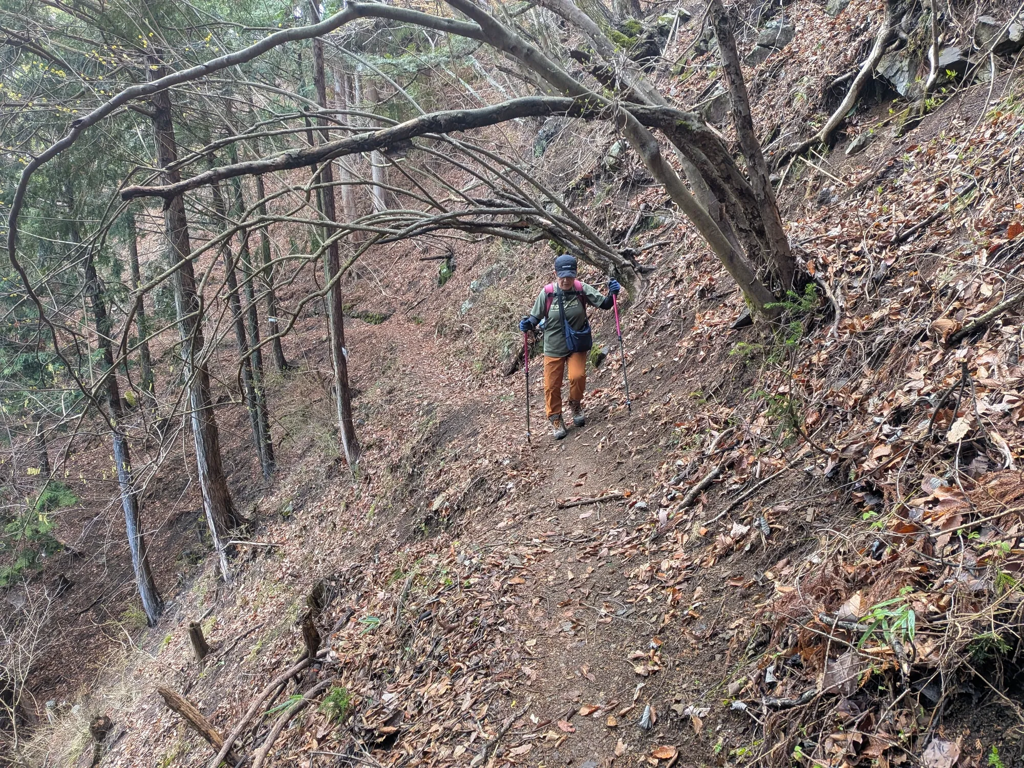 たむら鍼灸整骨院のイメージ