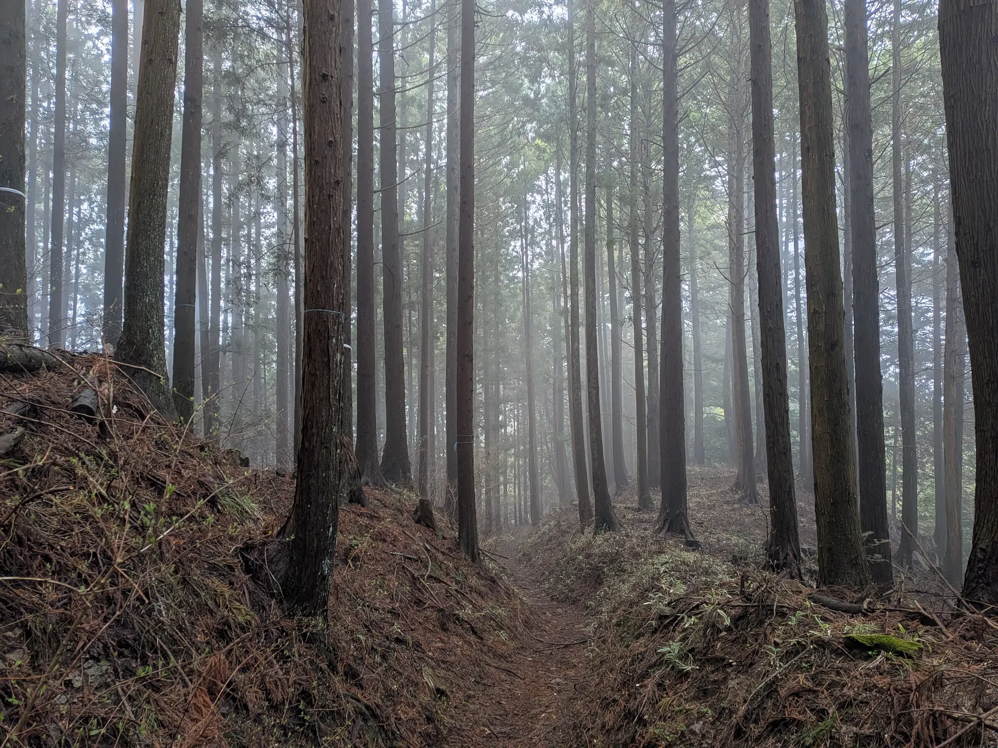 たむら鍼灸整骨院のイメージ