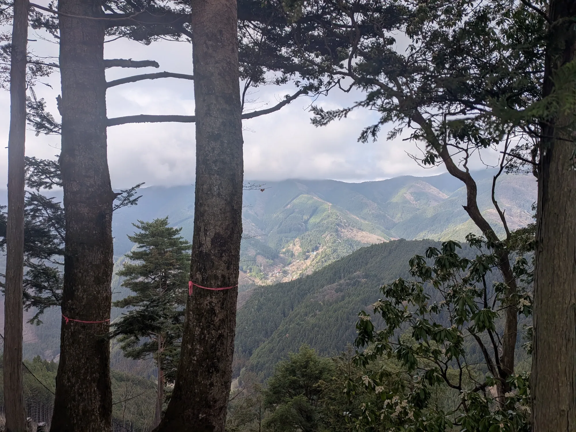 たむら鍼灸整骨院のイメージ