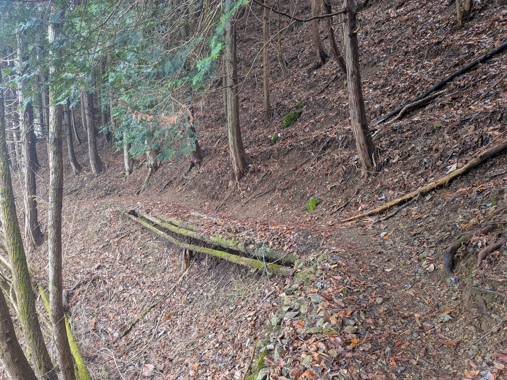 たむら鍼灸整骨院のイメージ