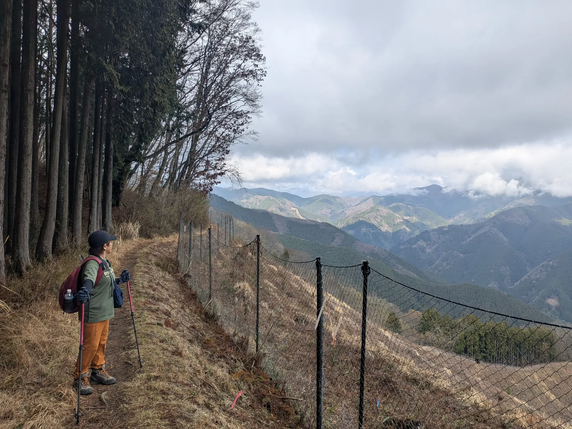 たむら鍼灸整骨院のイメージ