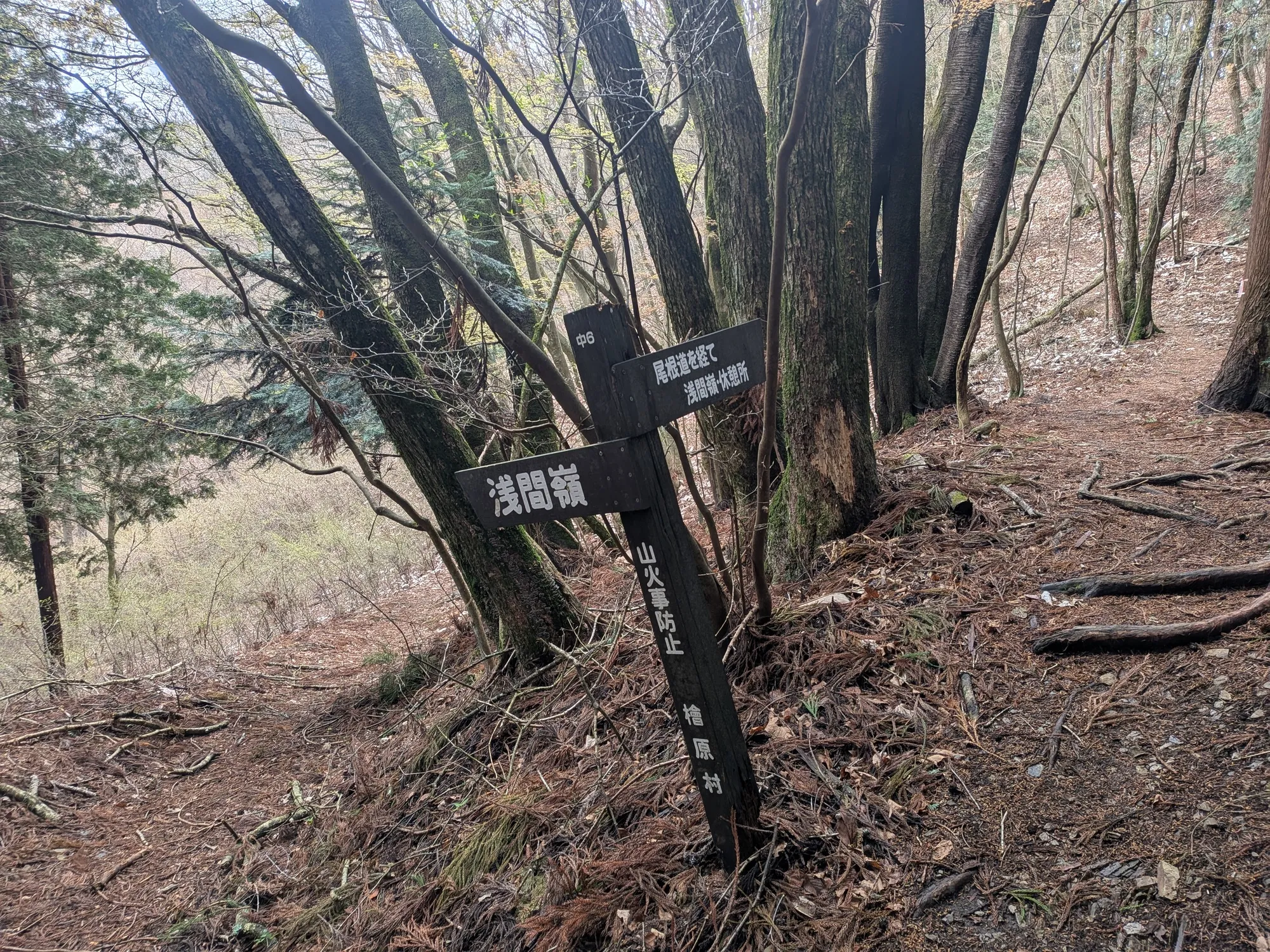 たむら鍼灸整骨院のイメージ