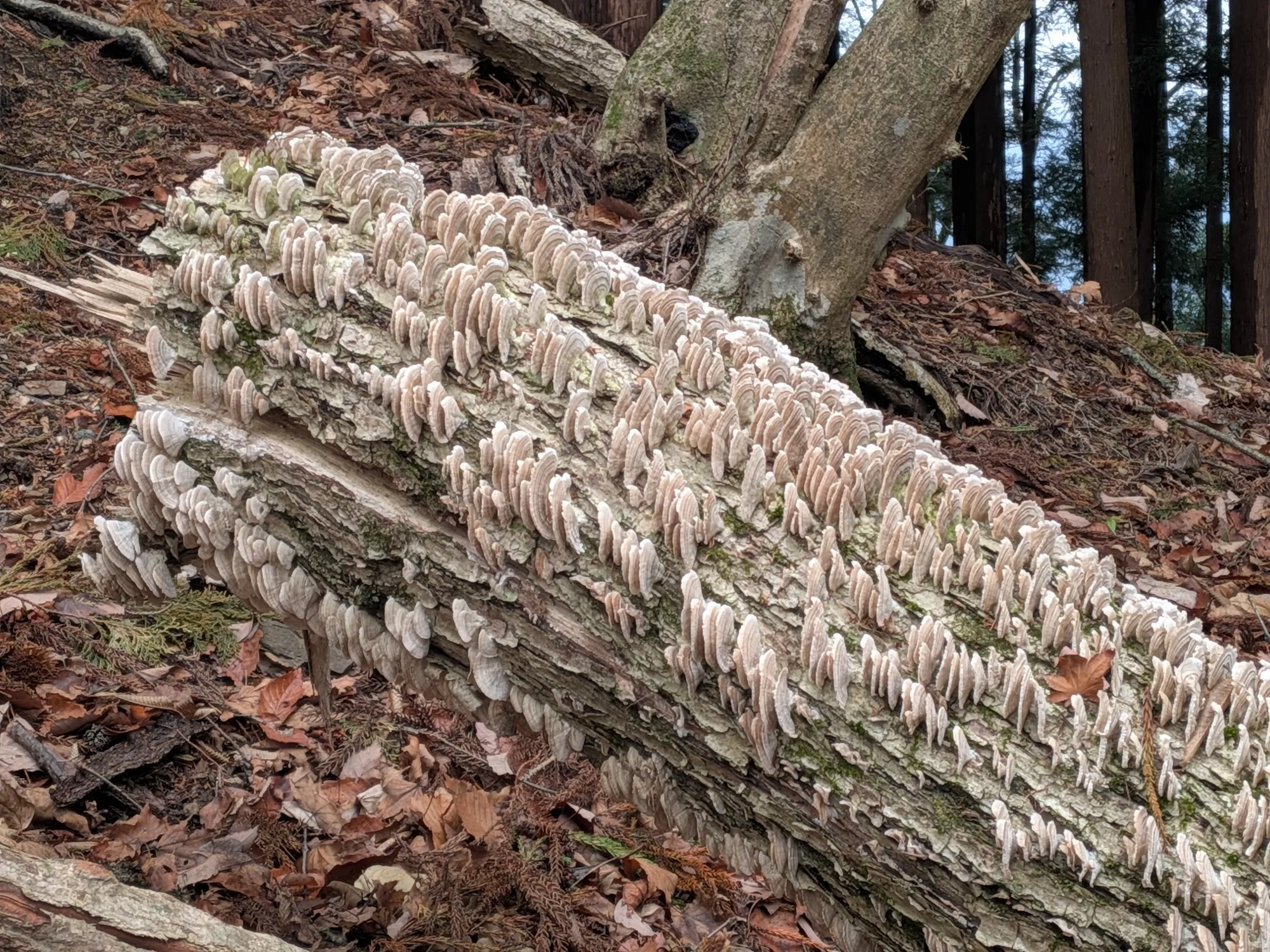 たむら鍼灸整骨院のイメージ