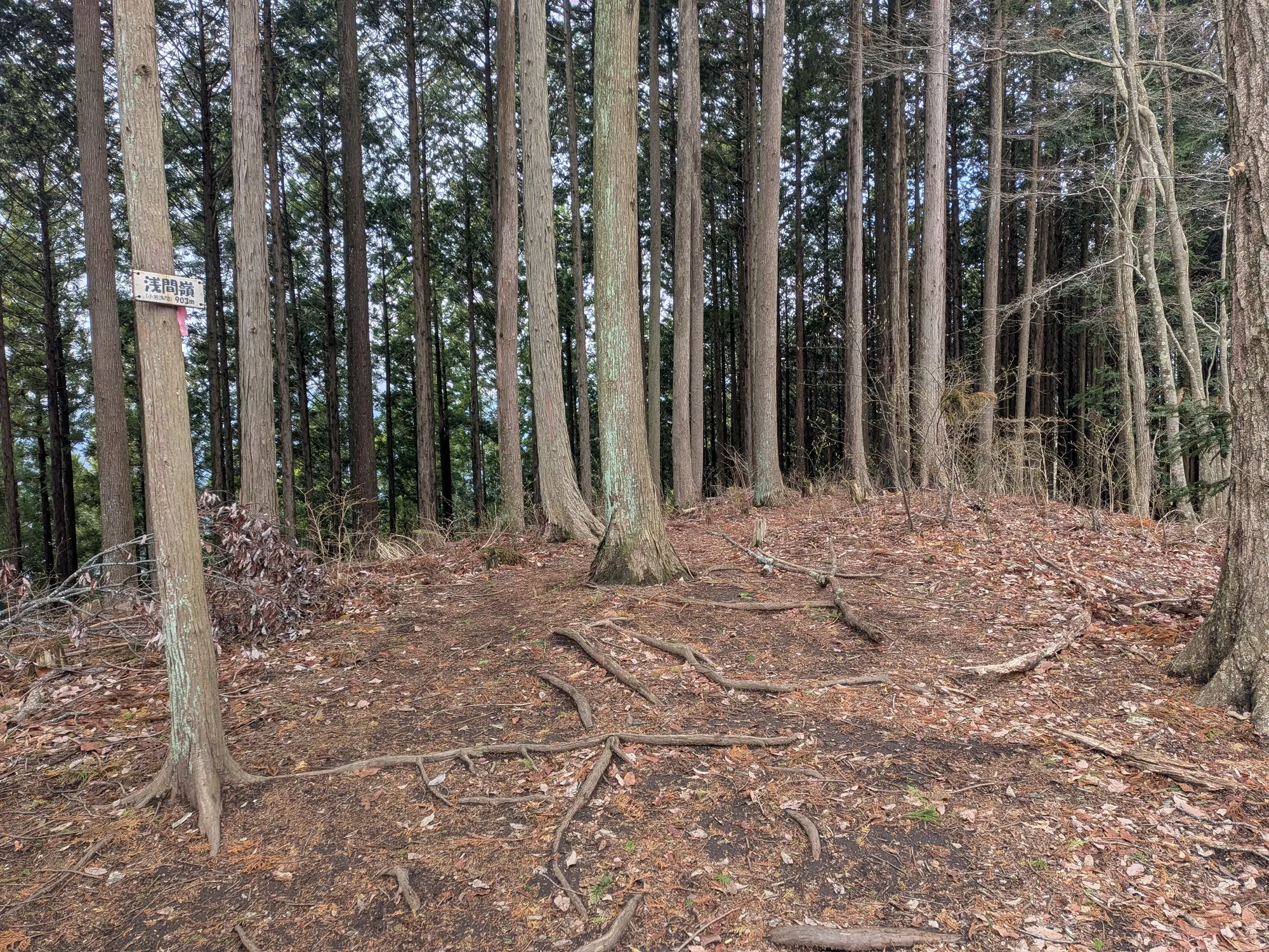 たむら鍼灸整骨院のイメージ