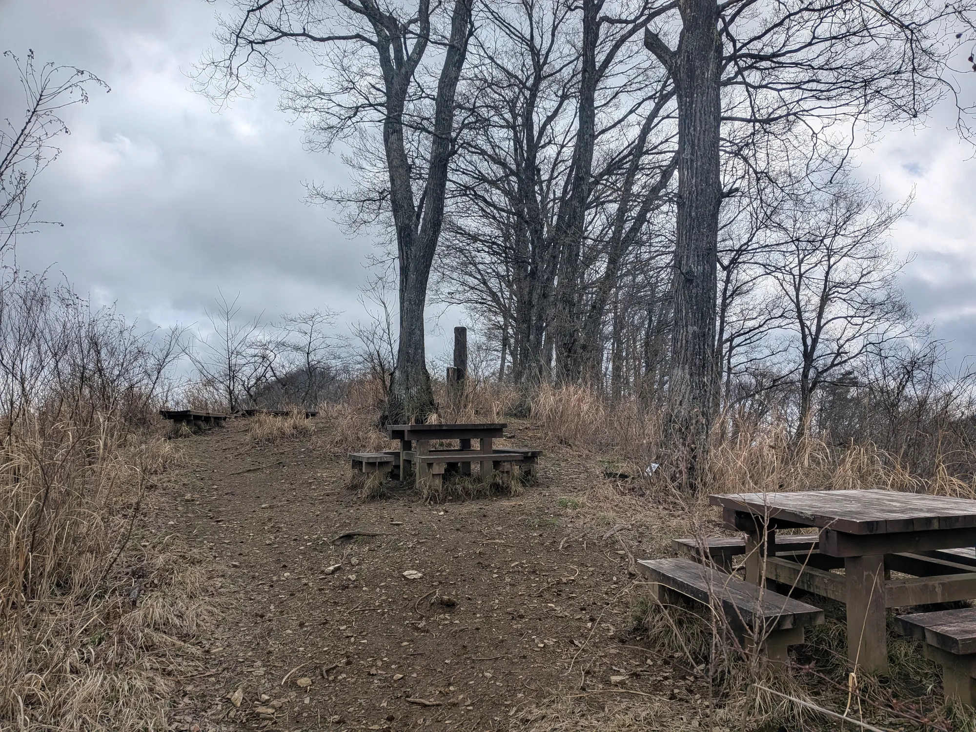 たむら鍼灸整骨院のイメージ