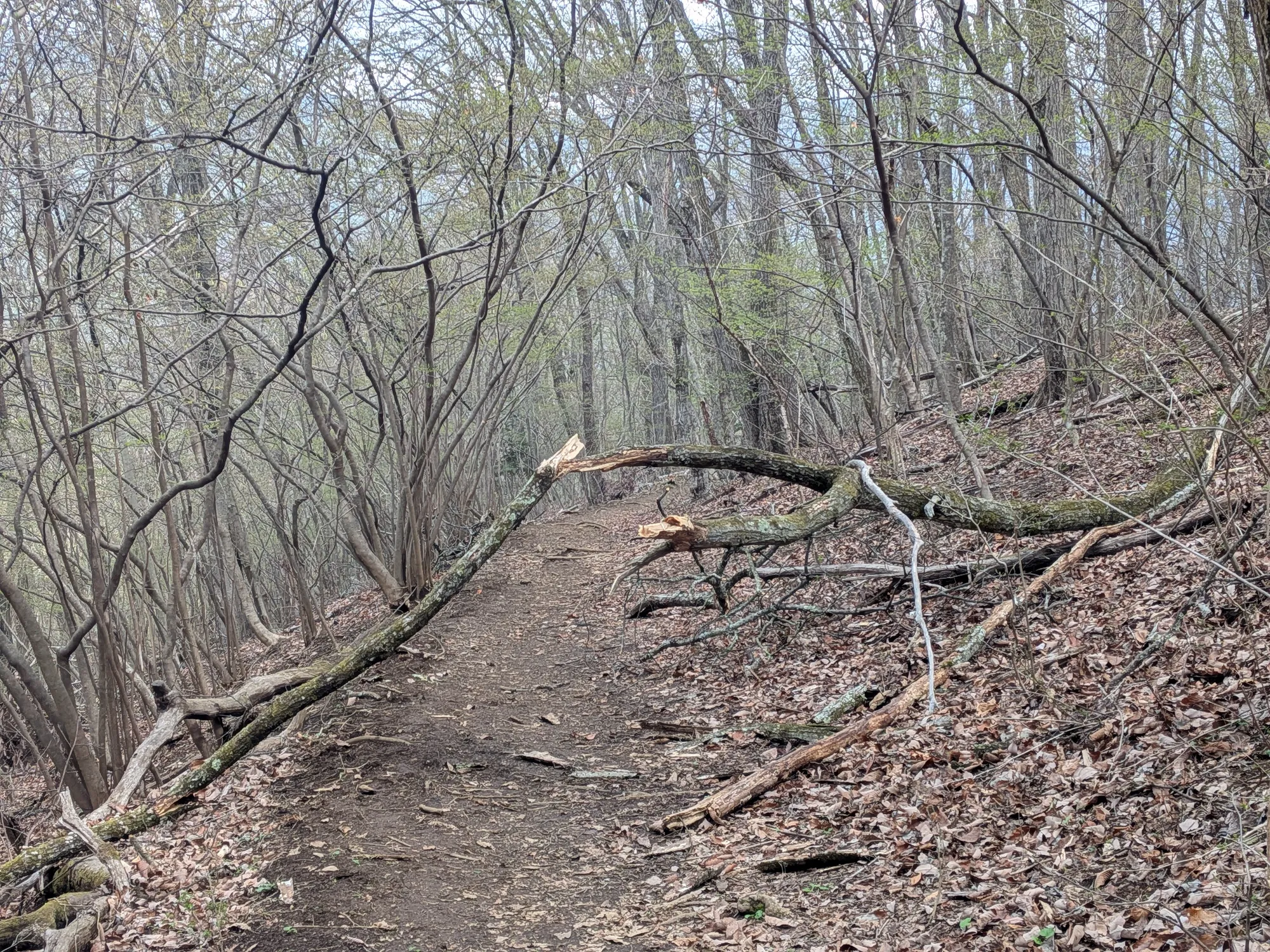 たむら鍼灸整骨院のイメージ