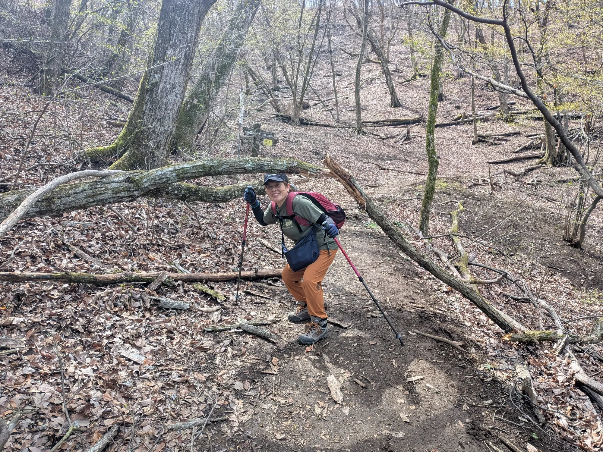 たむら鍼灸整骨院のイメージ