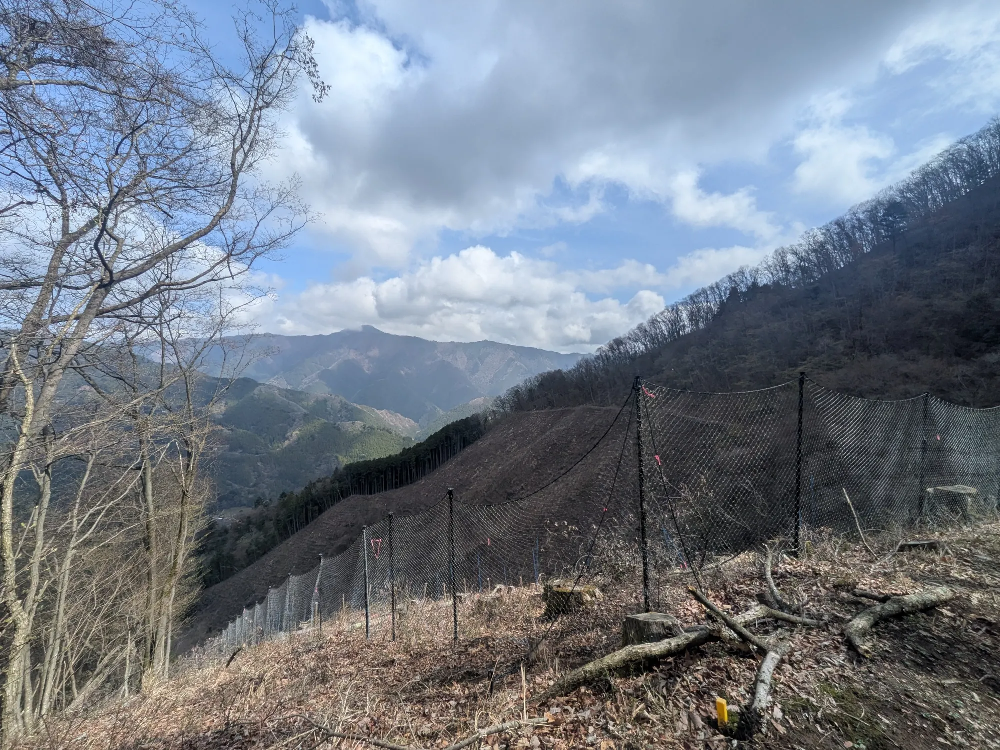 たむら鍼灸整骨院のイメージ