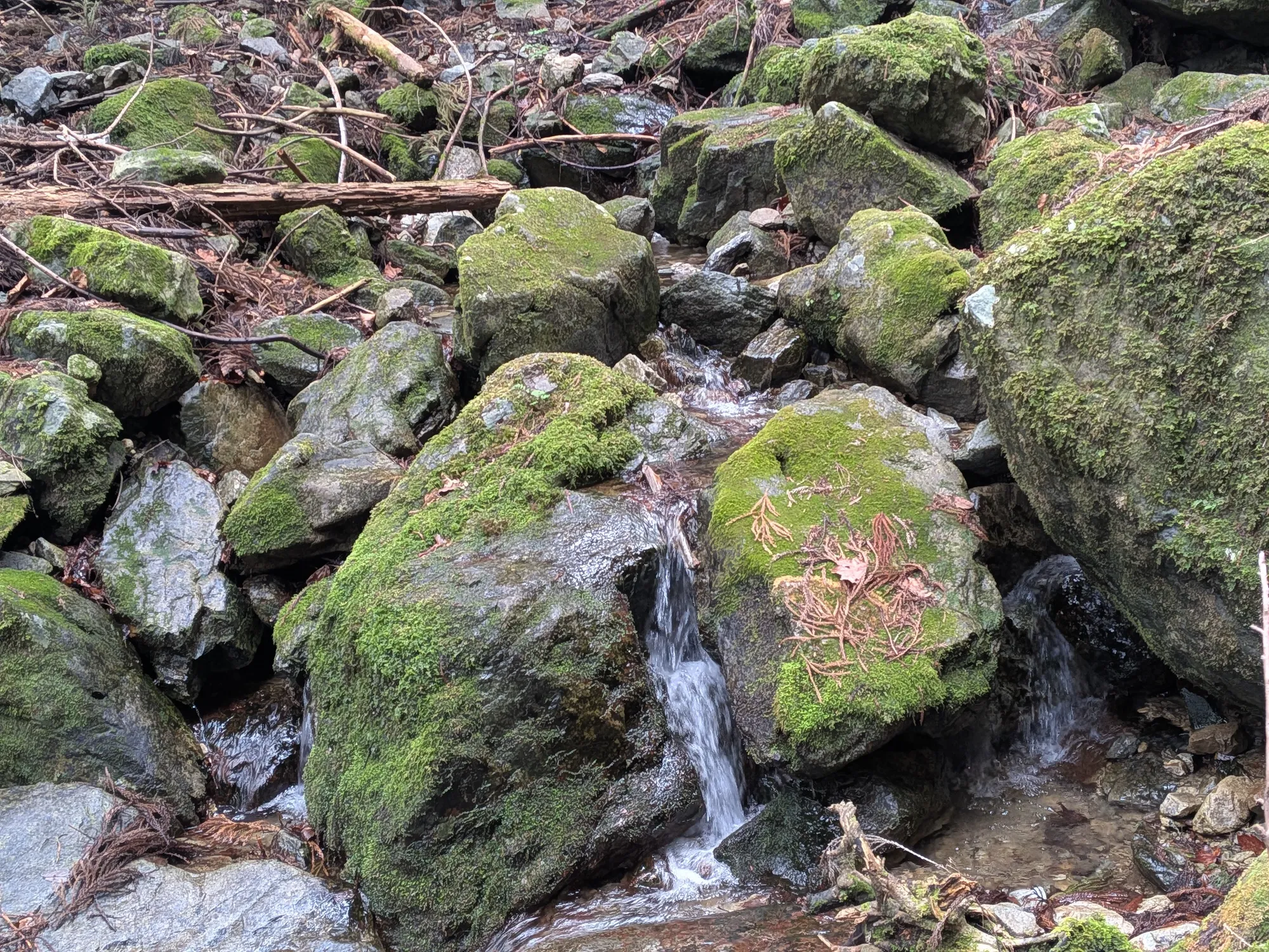 たむら鍼灸整骨院のイメージ