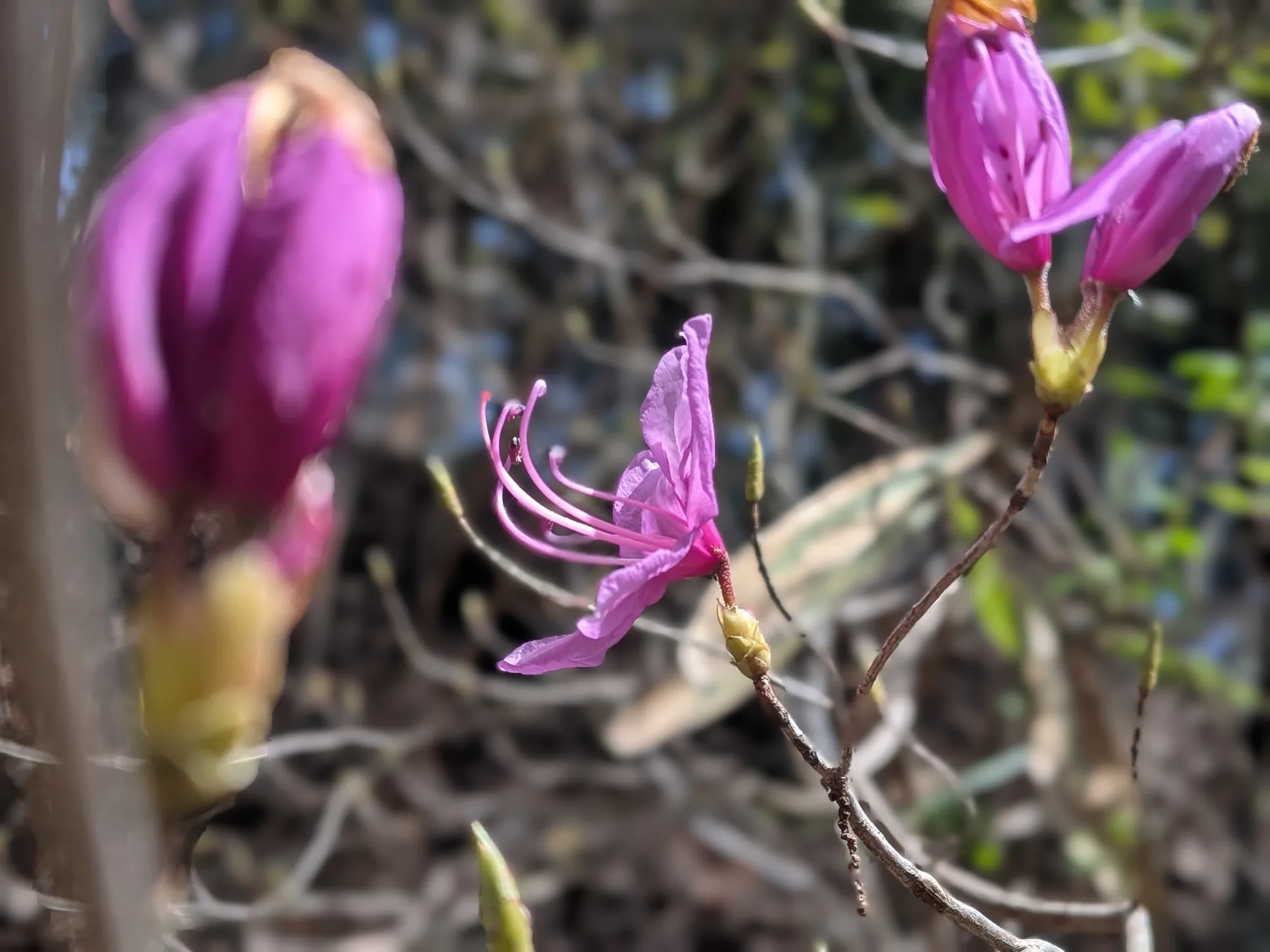 たむら鍼灸整骨院のイメージ