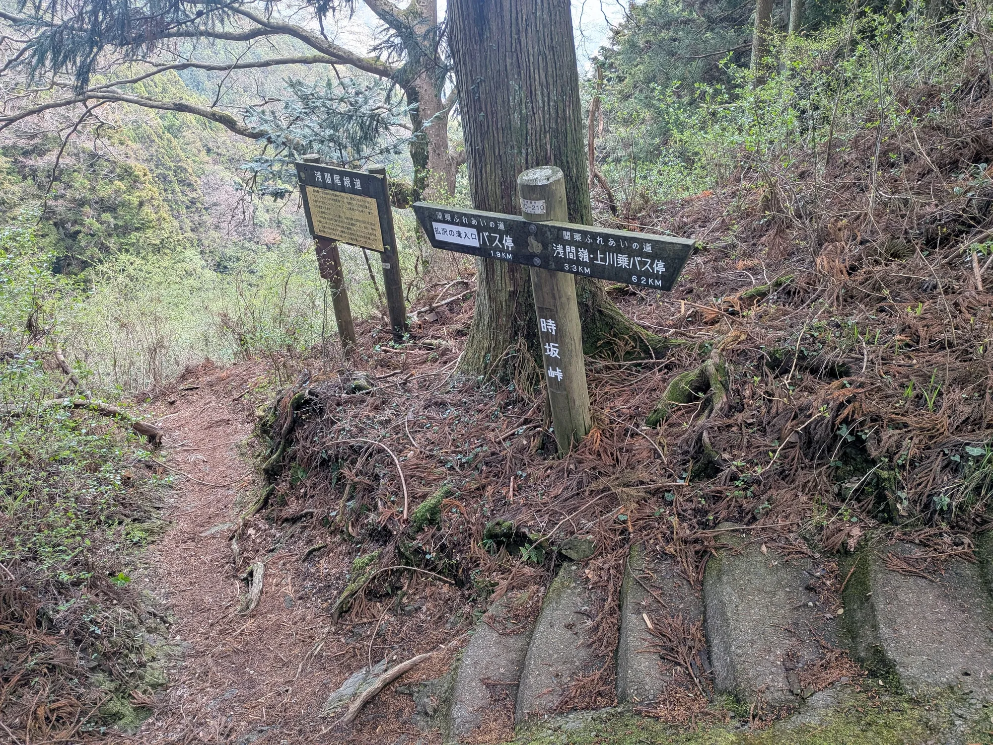 たむら鍼灸整骨院のイメージ
