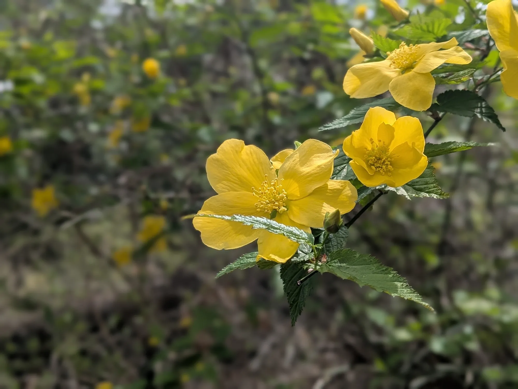 たむら鍼灸整骨院のイメージ