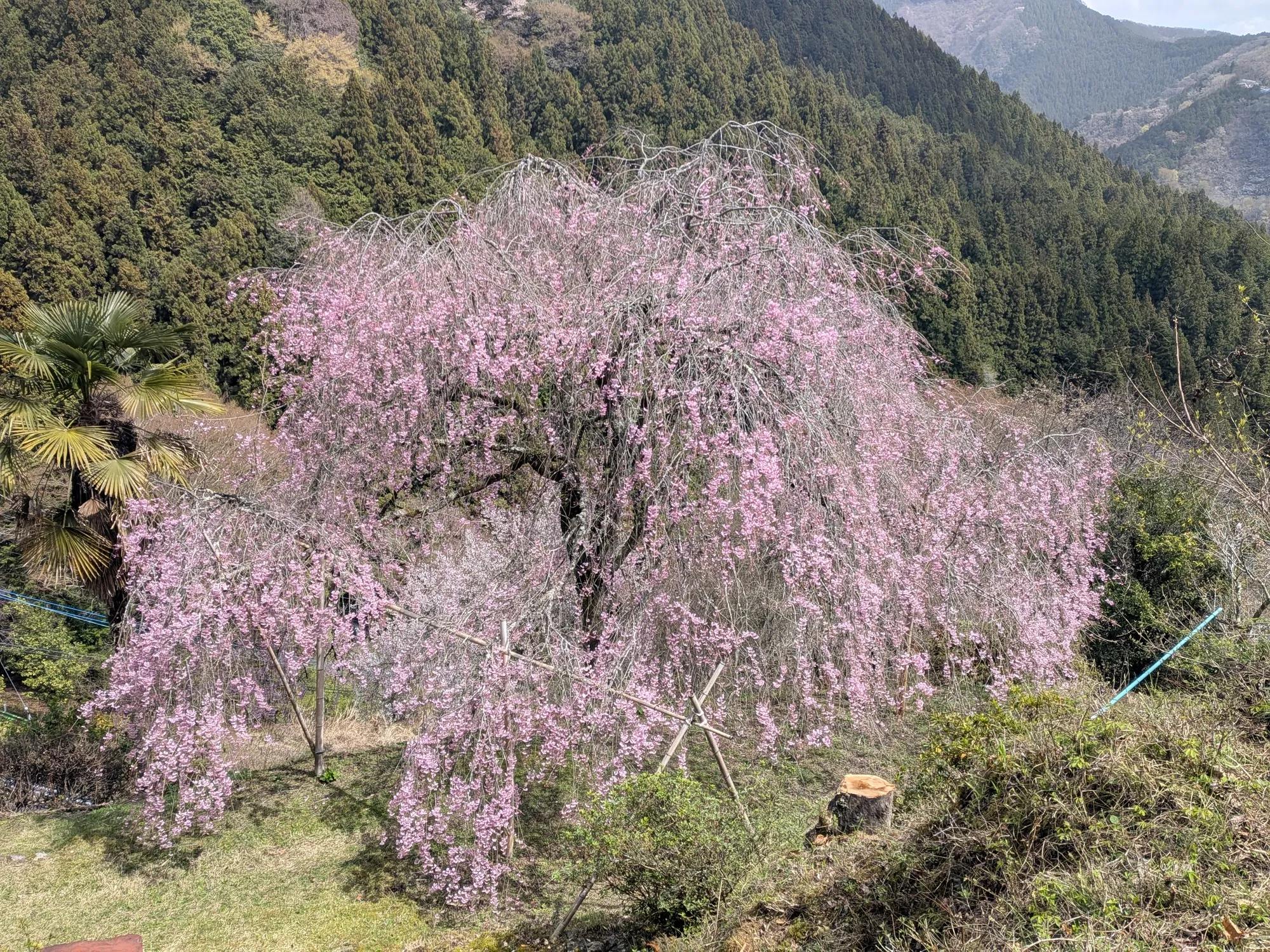 たむら鍼灸整骨院のイメージ