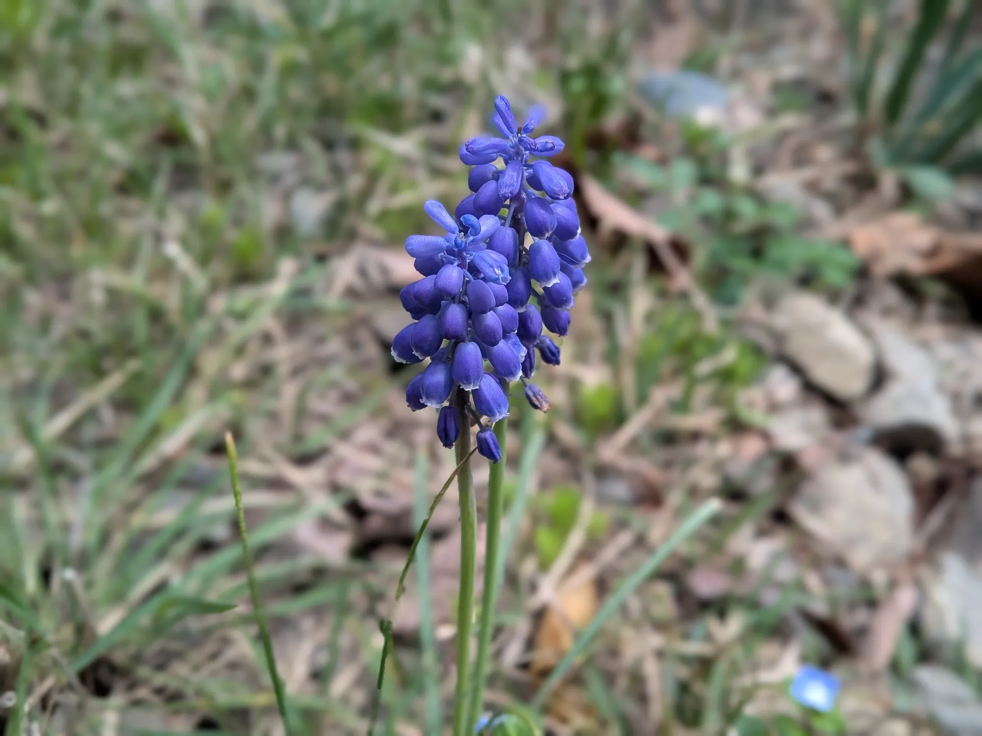 たむら鍼灸整骨院のイメージ