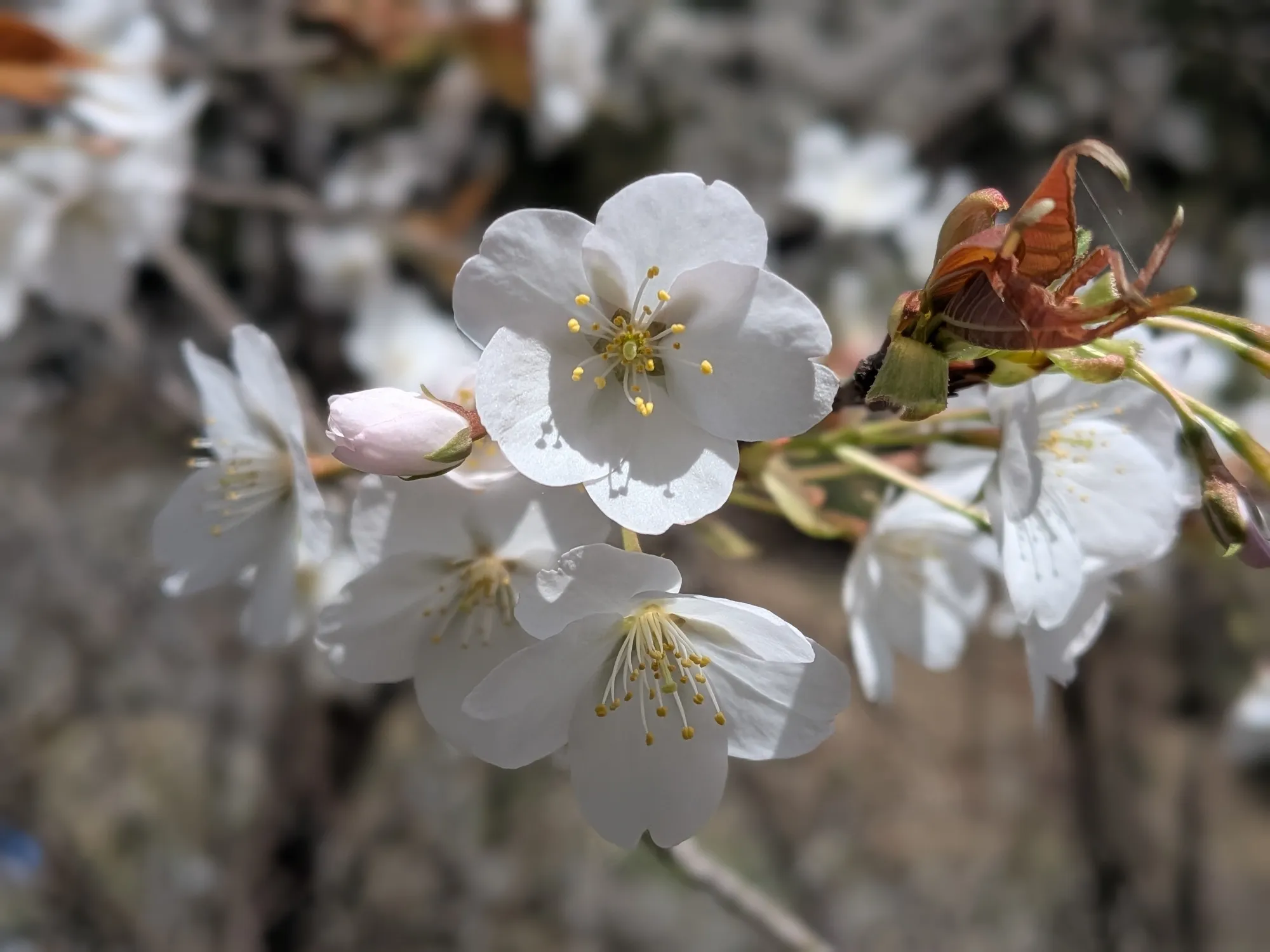 たむら鍼灸整骨院のイメージ