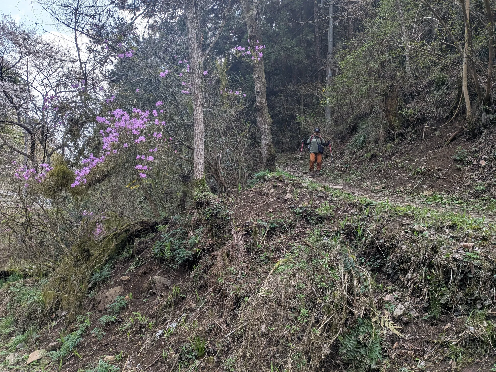 たむら鍼灸整骨院のイメージ