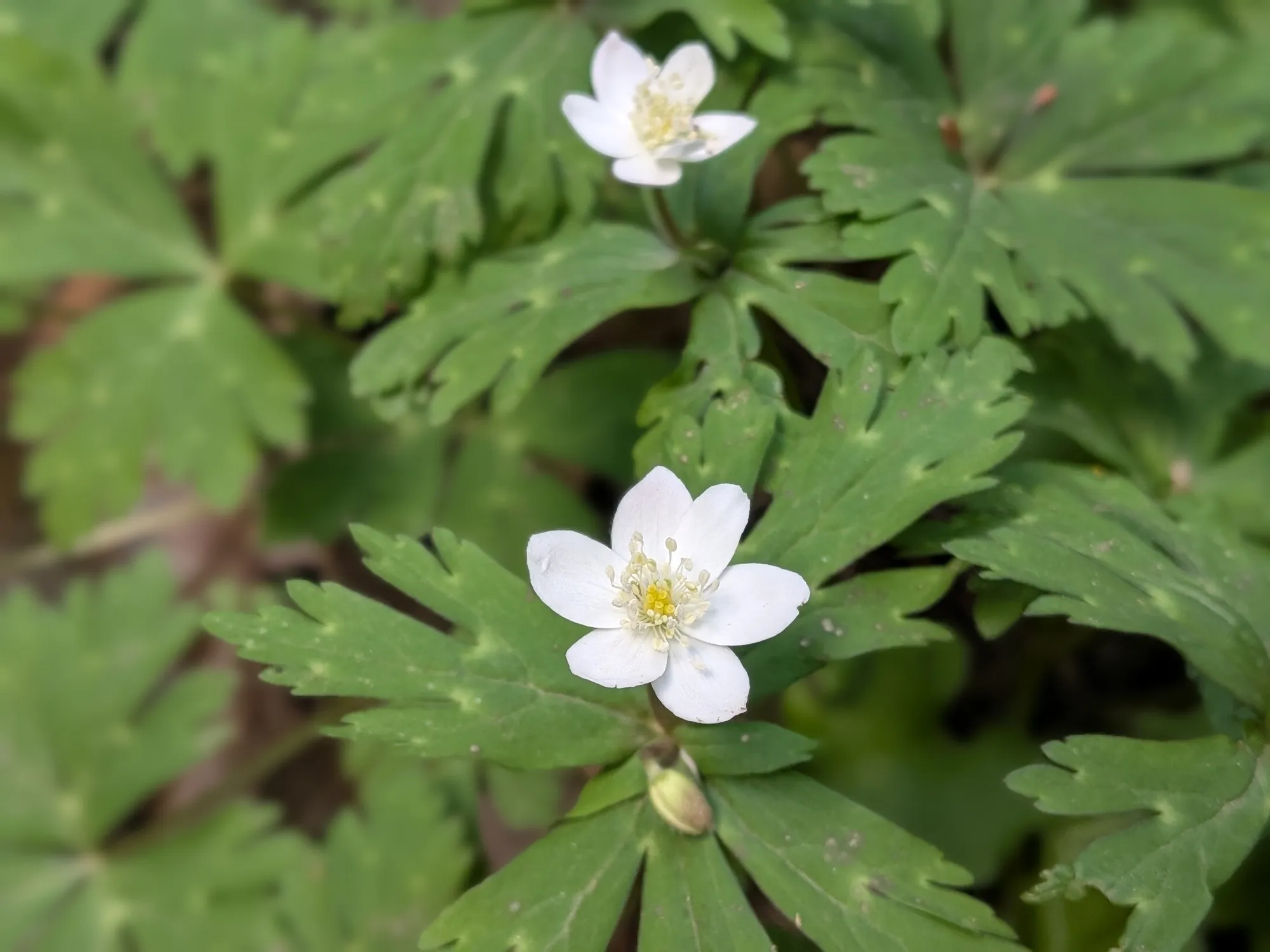 たむら鍼灸整骨院のイメージ