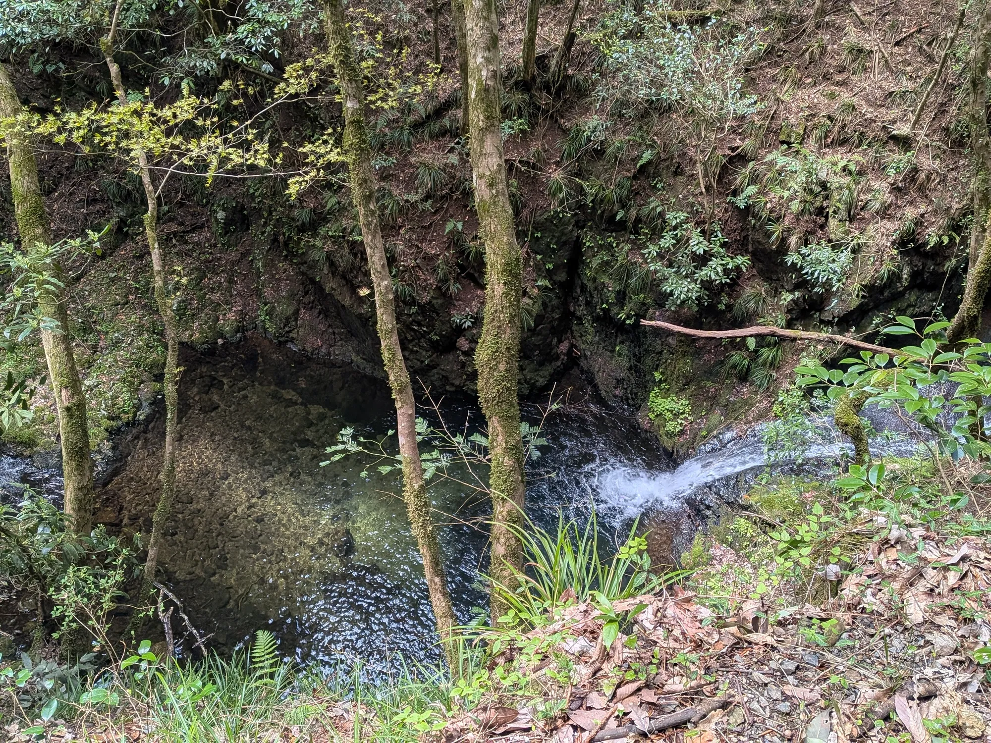 たむら鍼灸整骨院のイメージ