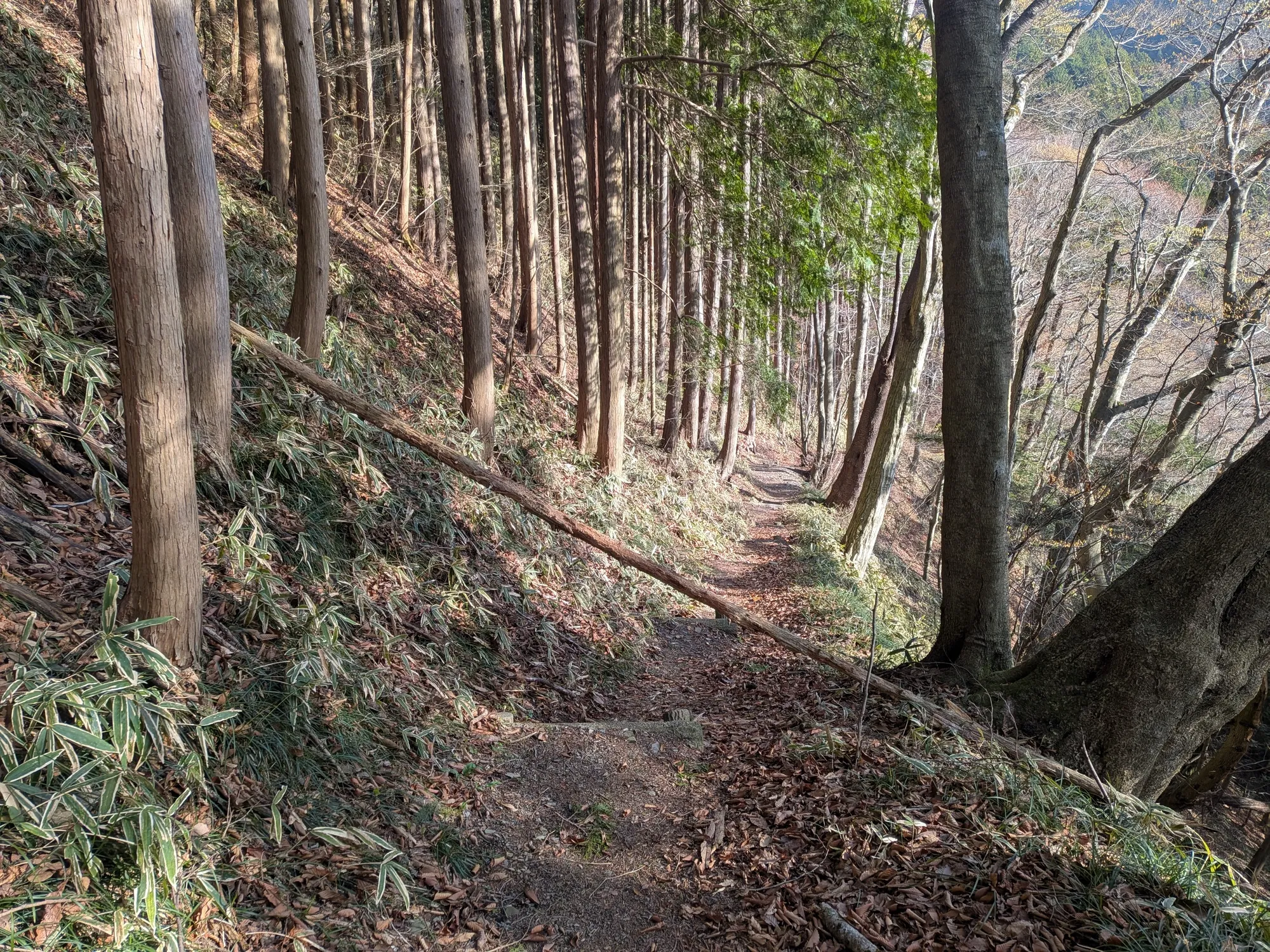 たむら鍼灸整骨院のイメージ