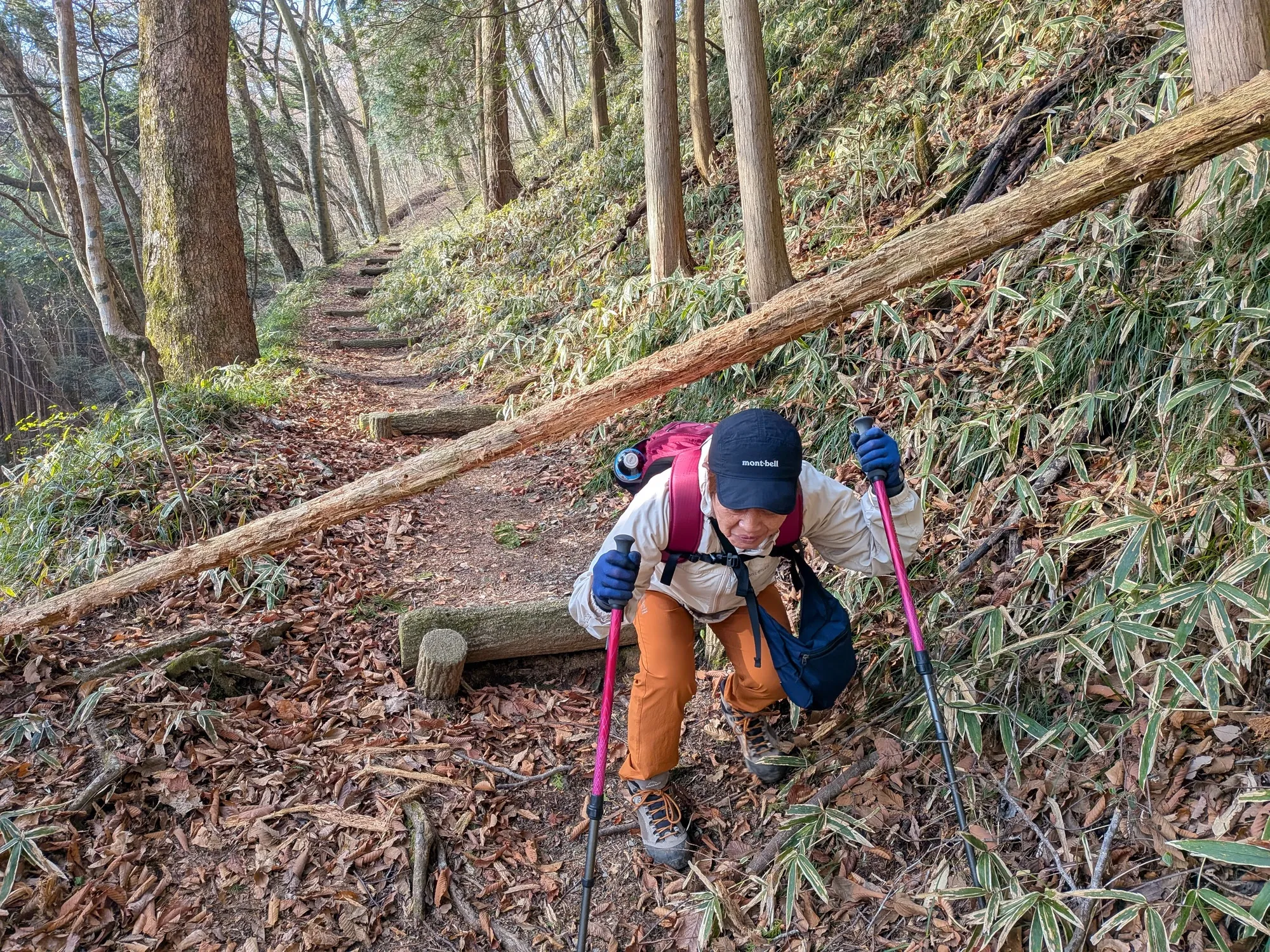 たむら鍼灸整骨院のイメージ