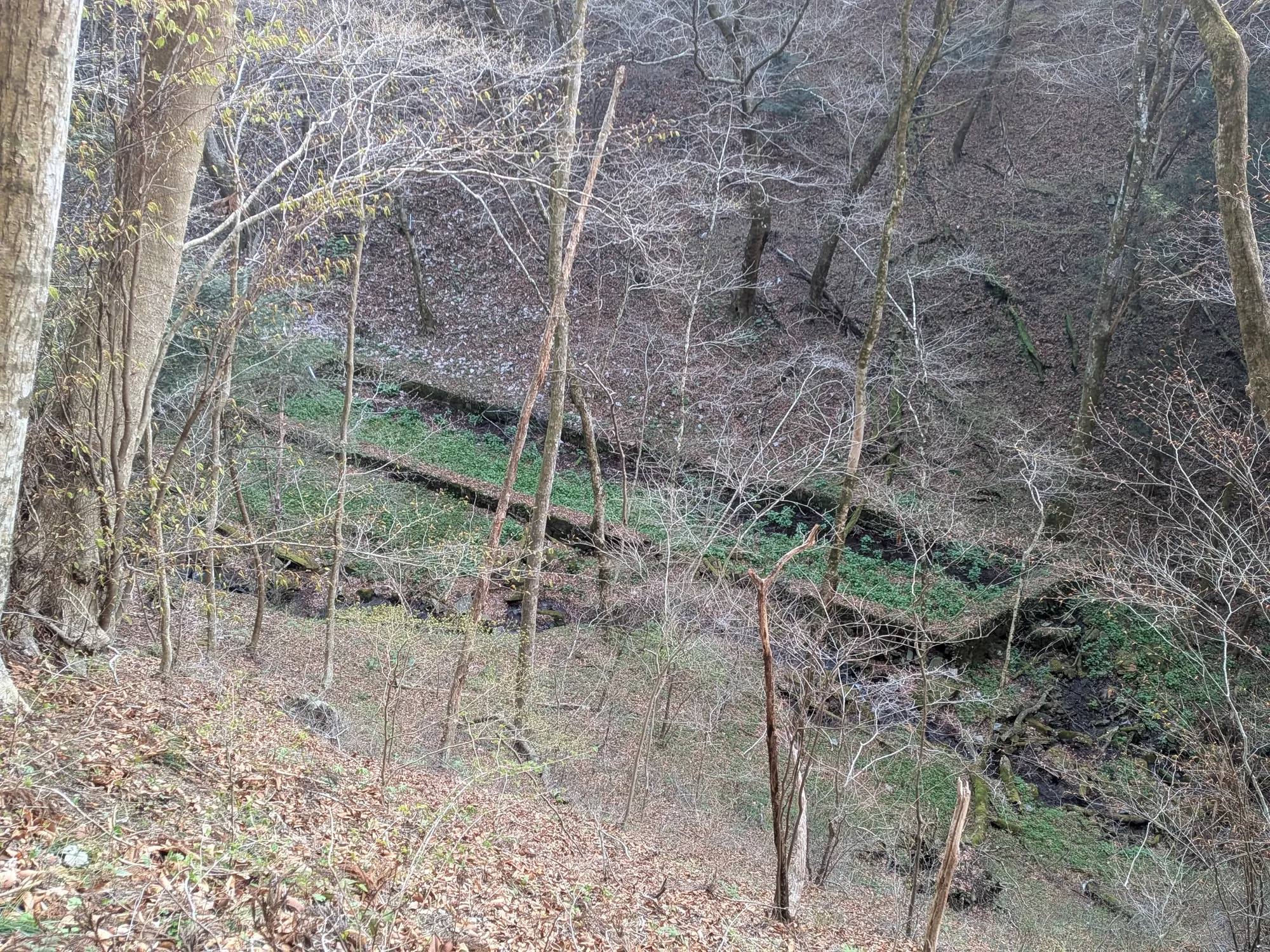 たむら鍼灸整骨院のイメージ