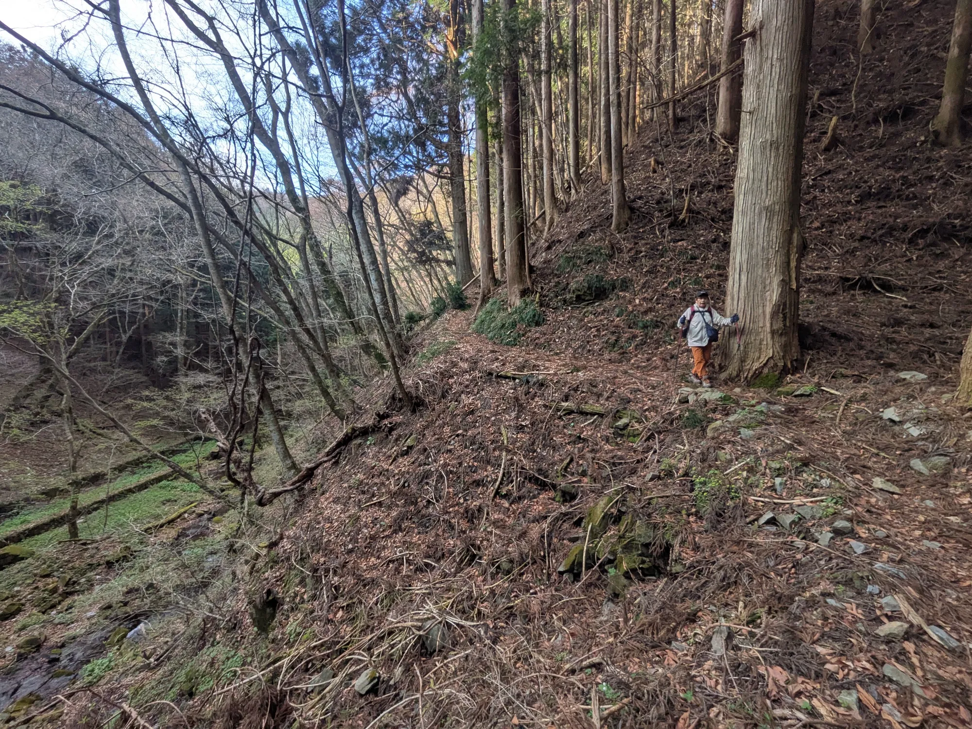 たむら鍼灸整骨院のイメージ