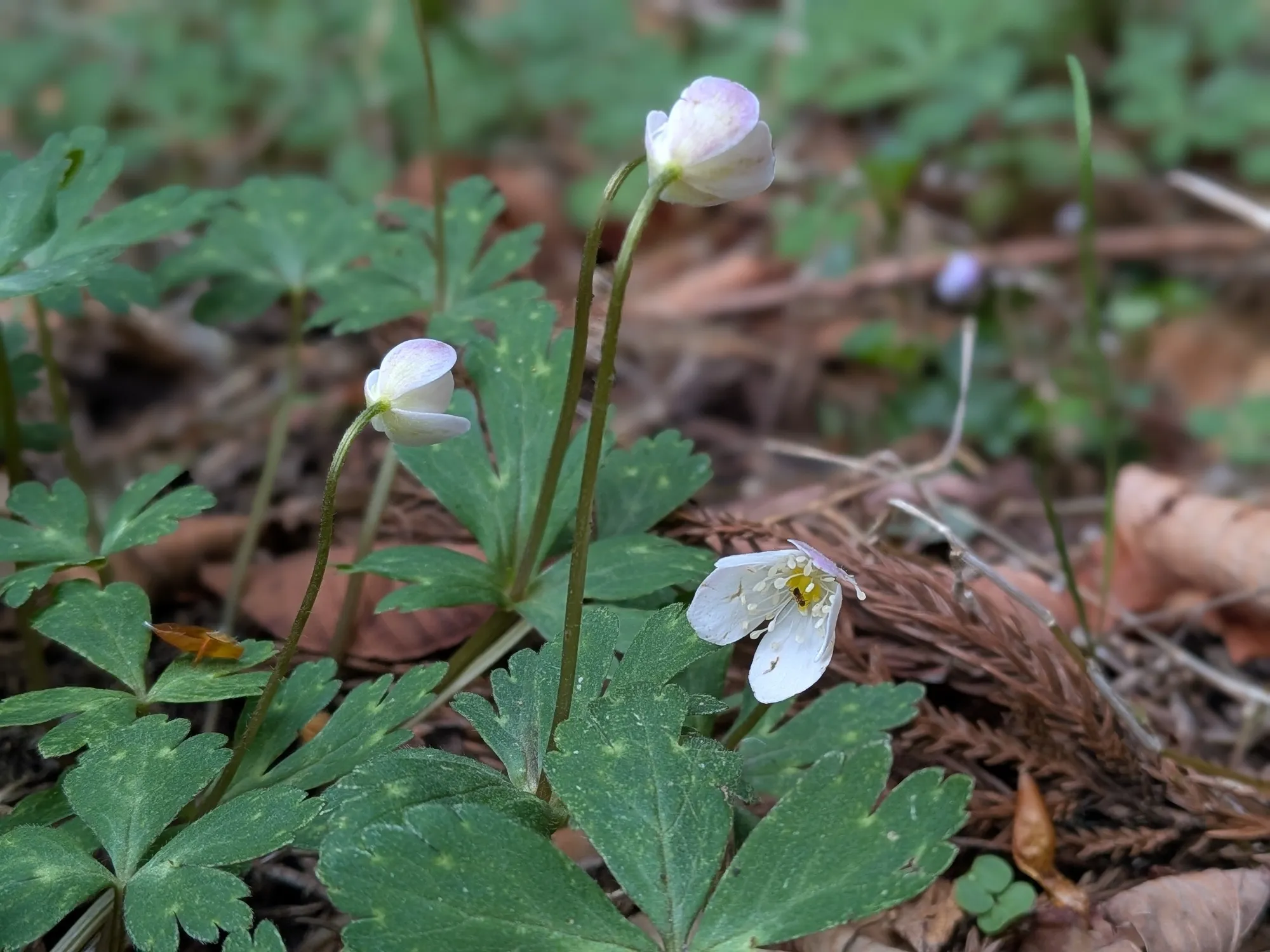 たむら鍼灸整骨院のイメージ