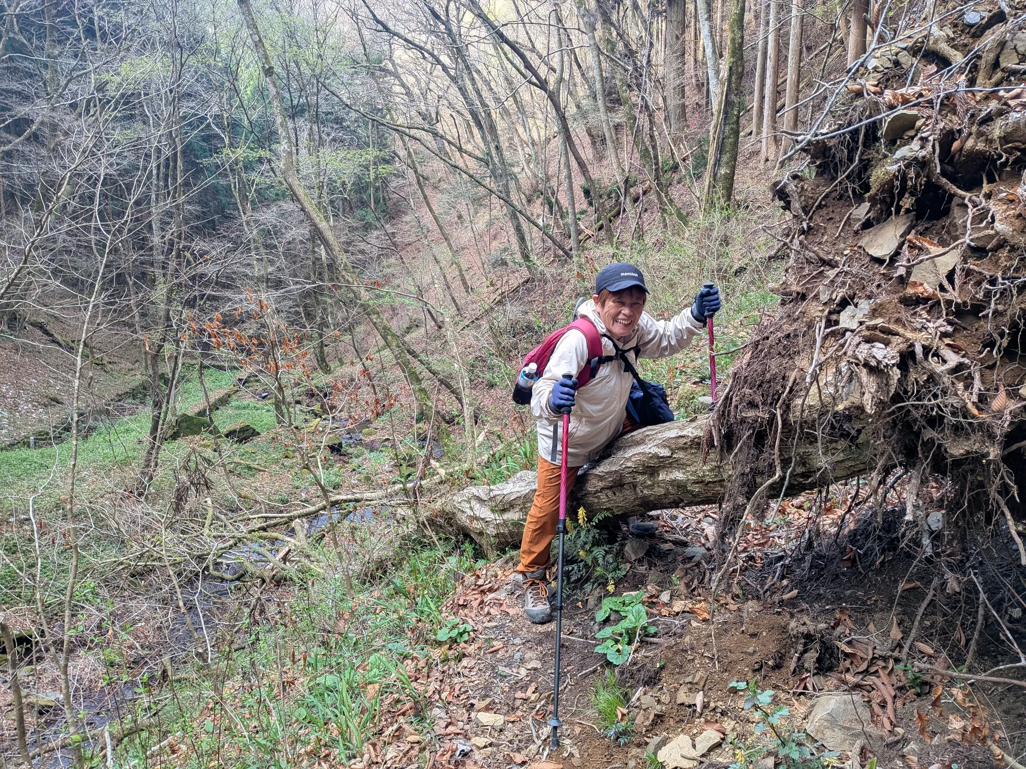 たむら鍼灸整骨院のイメージ