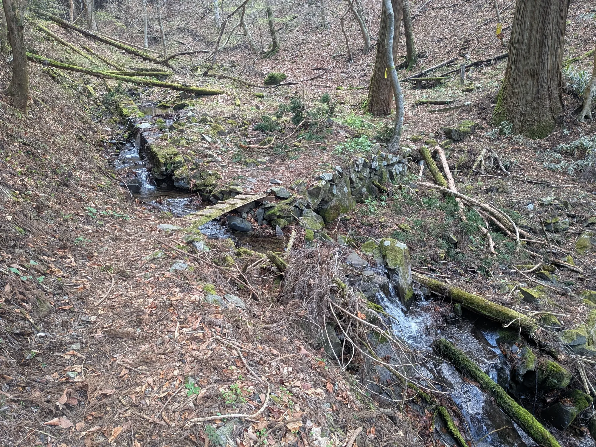 たむら鍼灸整骨院のイメージ