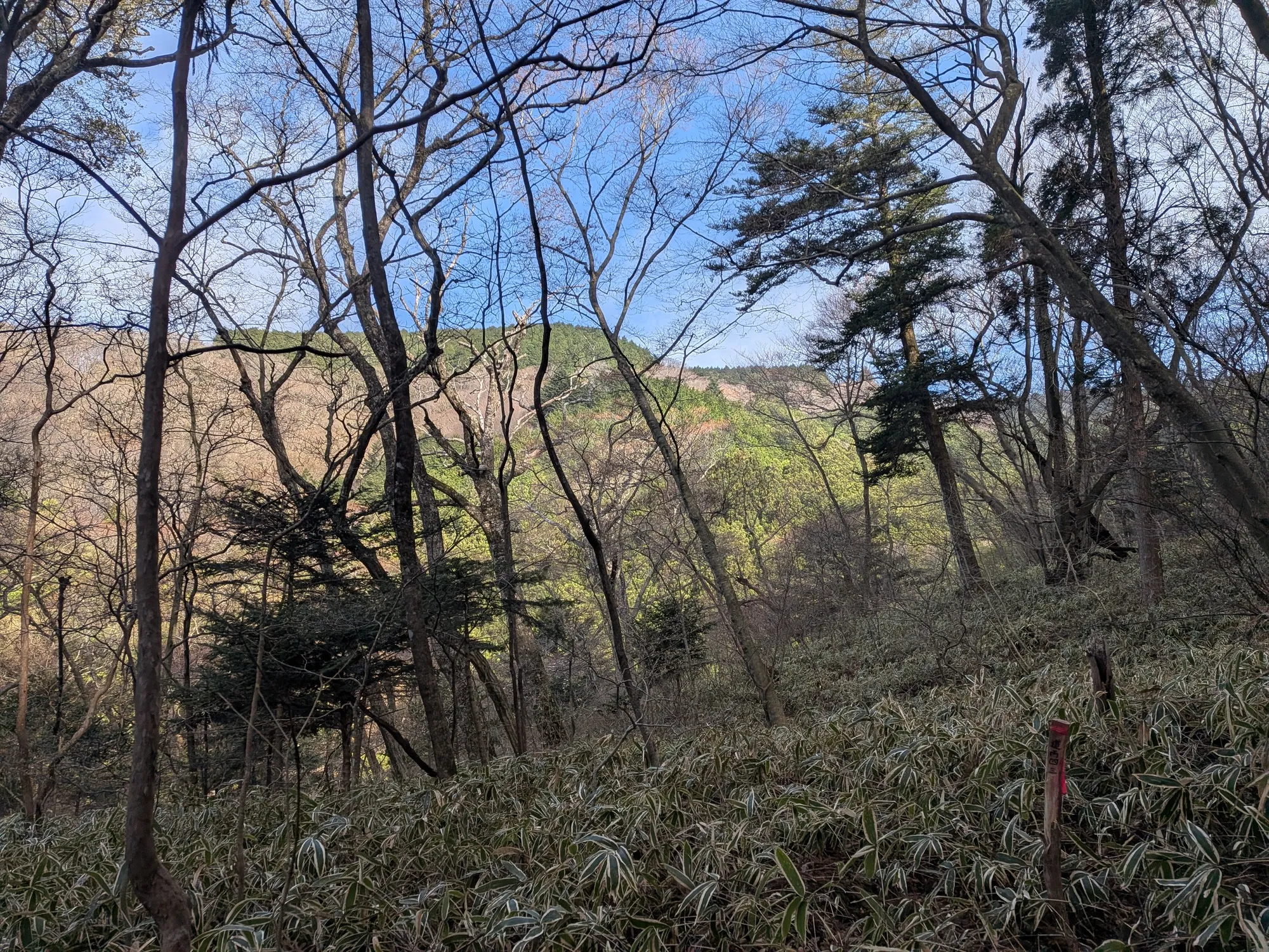 たむら鍼灸整骨院のイメージ
