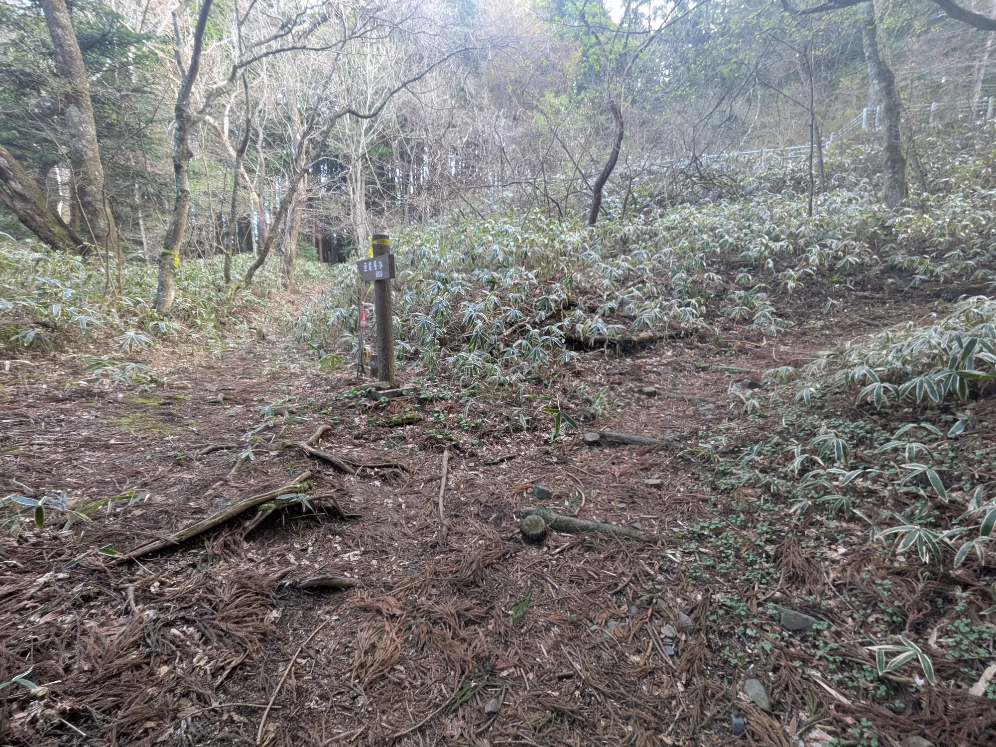 たむら鍼灸整骨院のイメージ