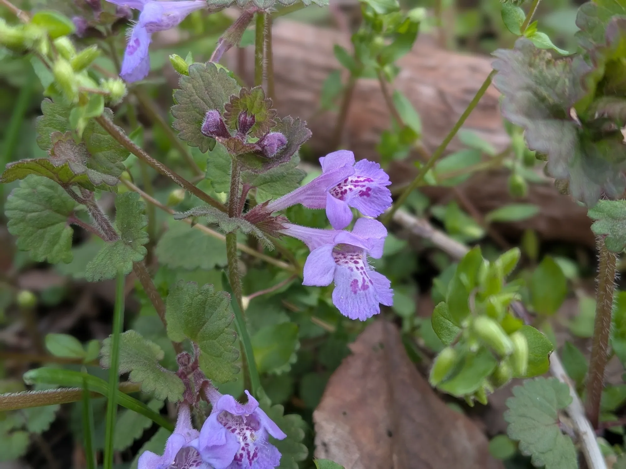 たむら鍼灸整骨院のイメージ