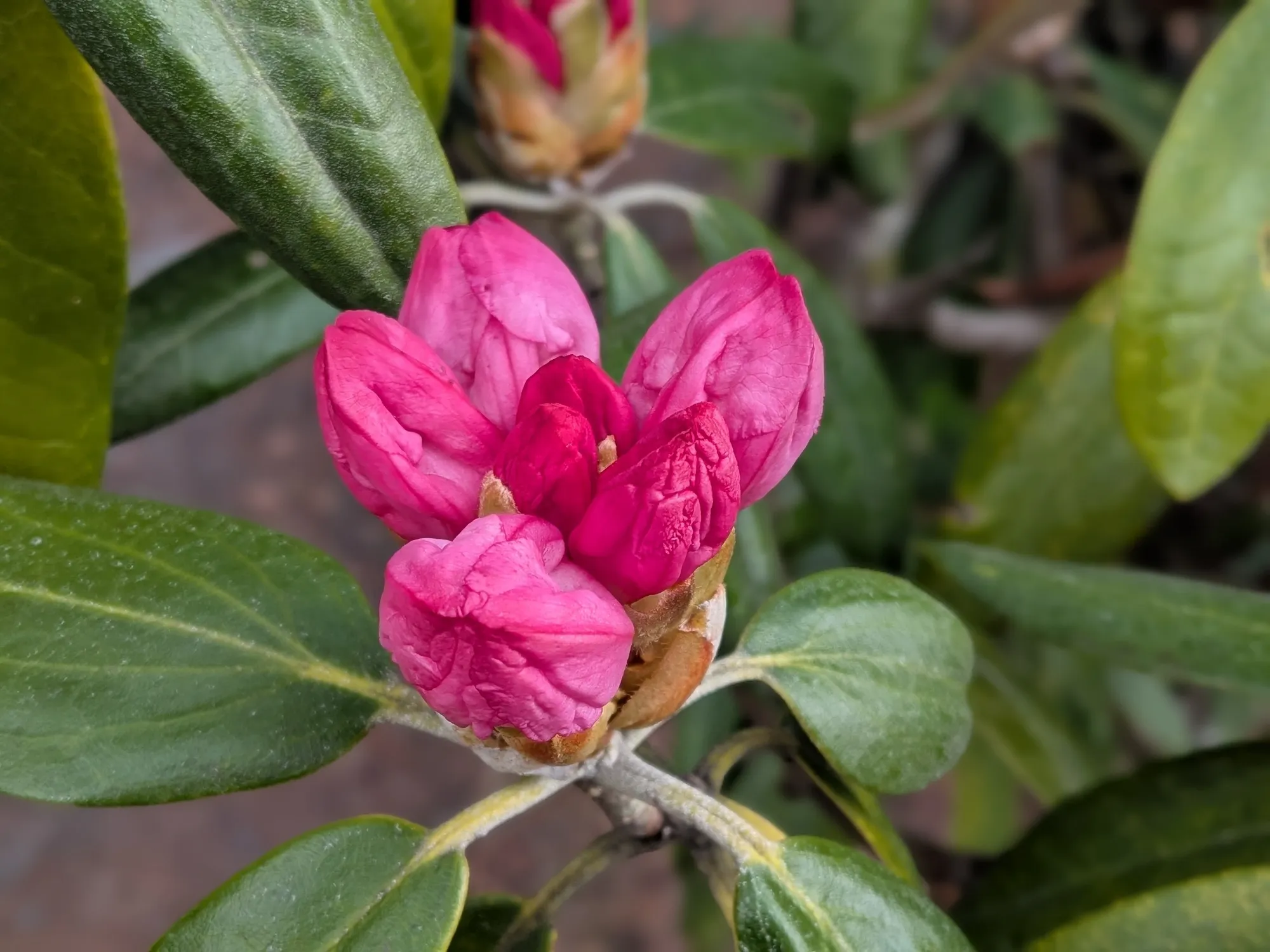 たむら鍼灸整骨院のイメージ